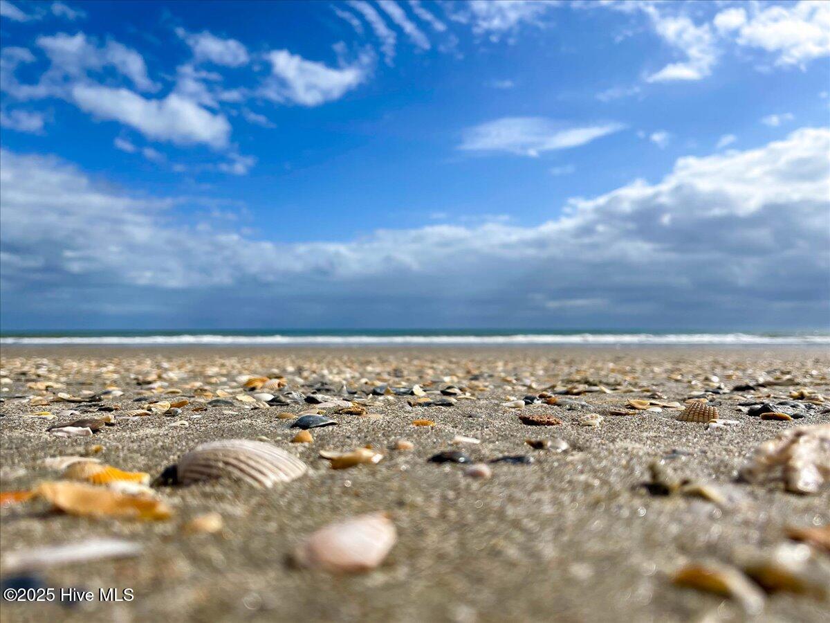 100538746 | Photo 51