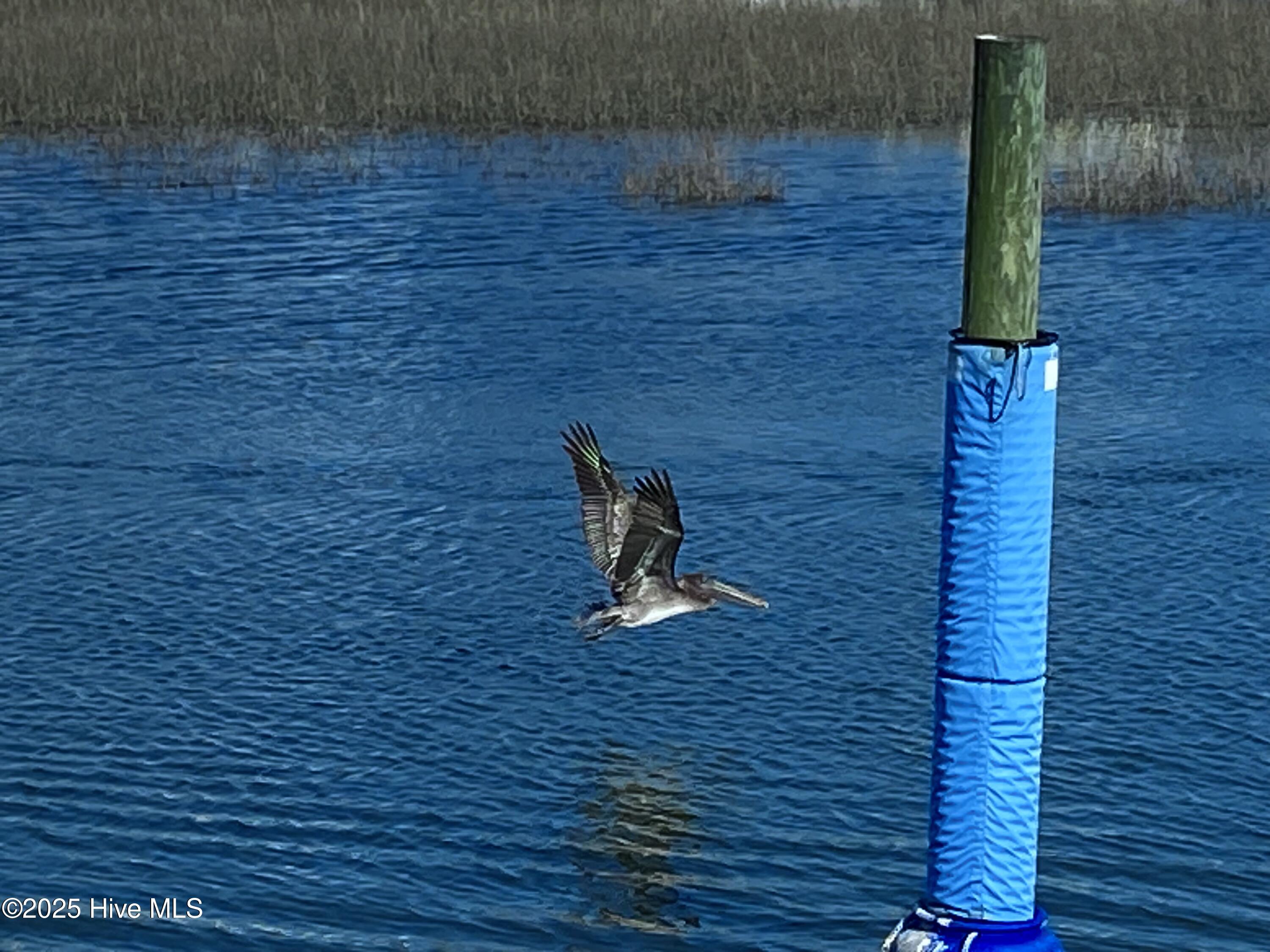 100521809 | Photo 43