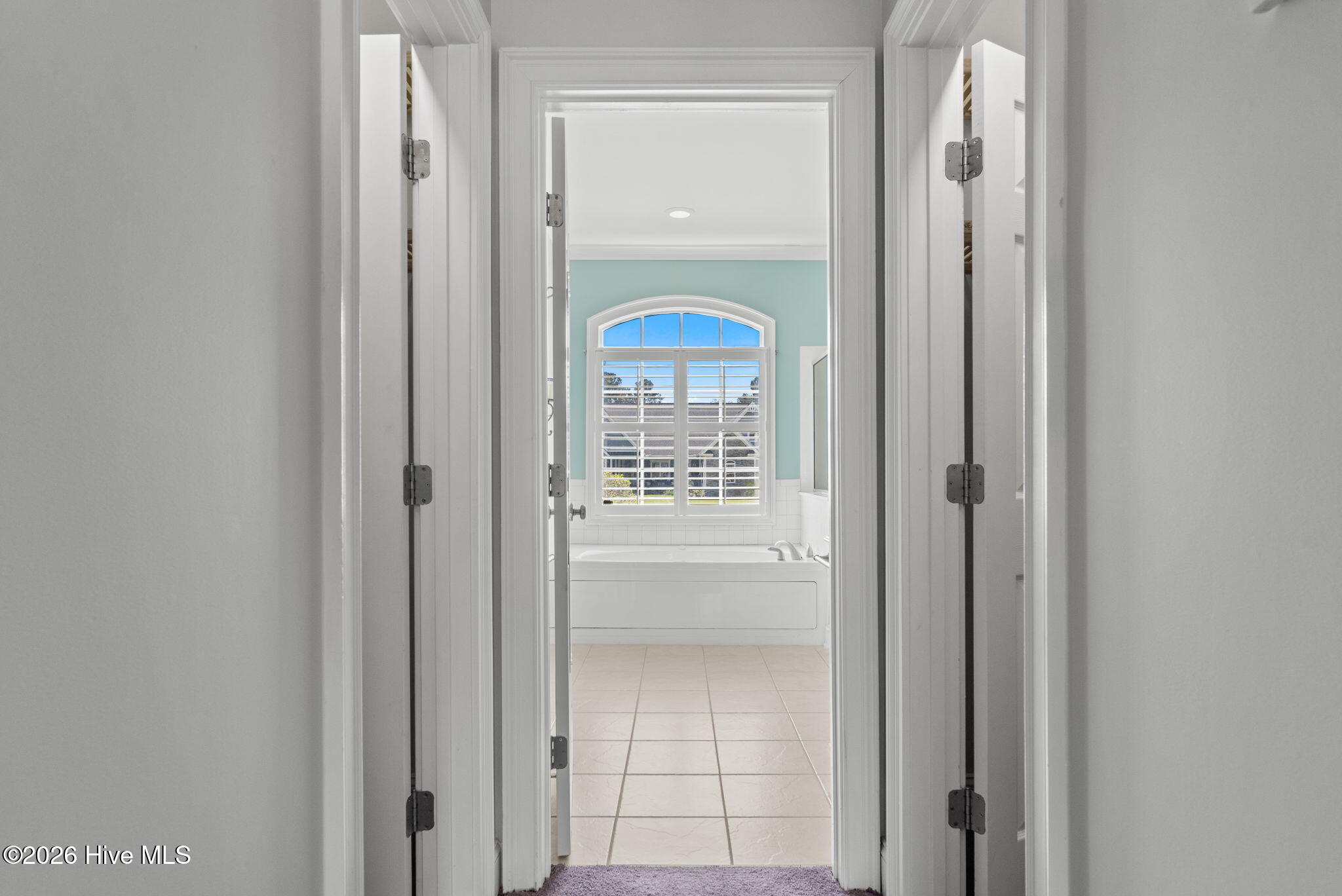 100569598 | Photo 49