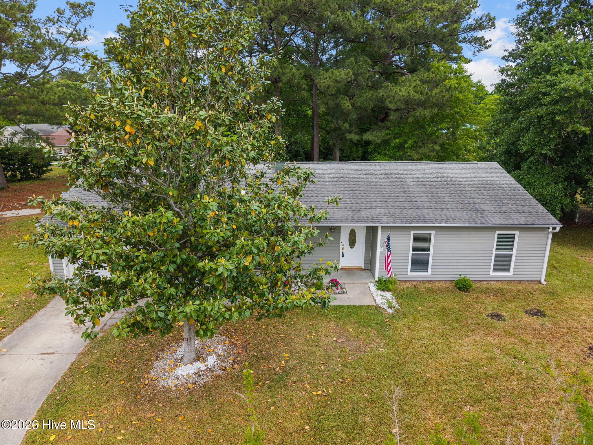 100570195 | Photo 31