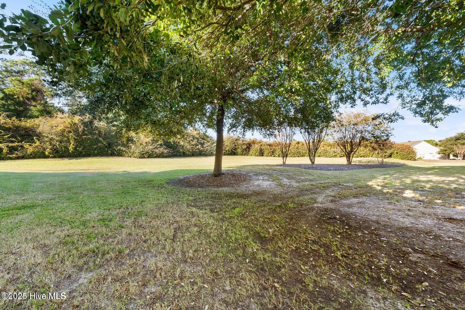 100546726 | Photo 32