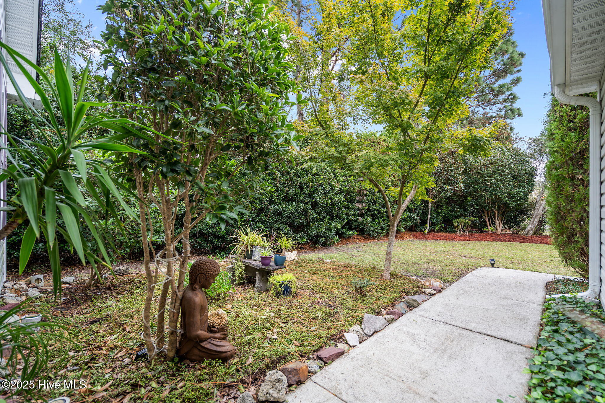 100543555 | Photo 41