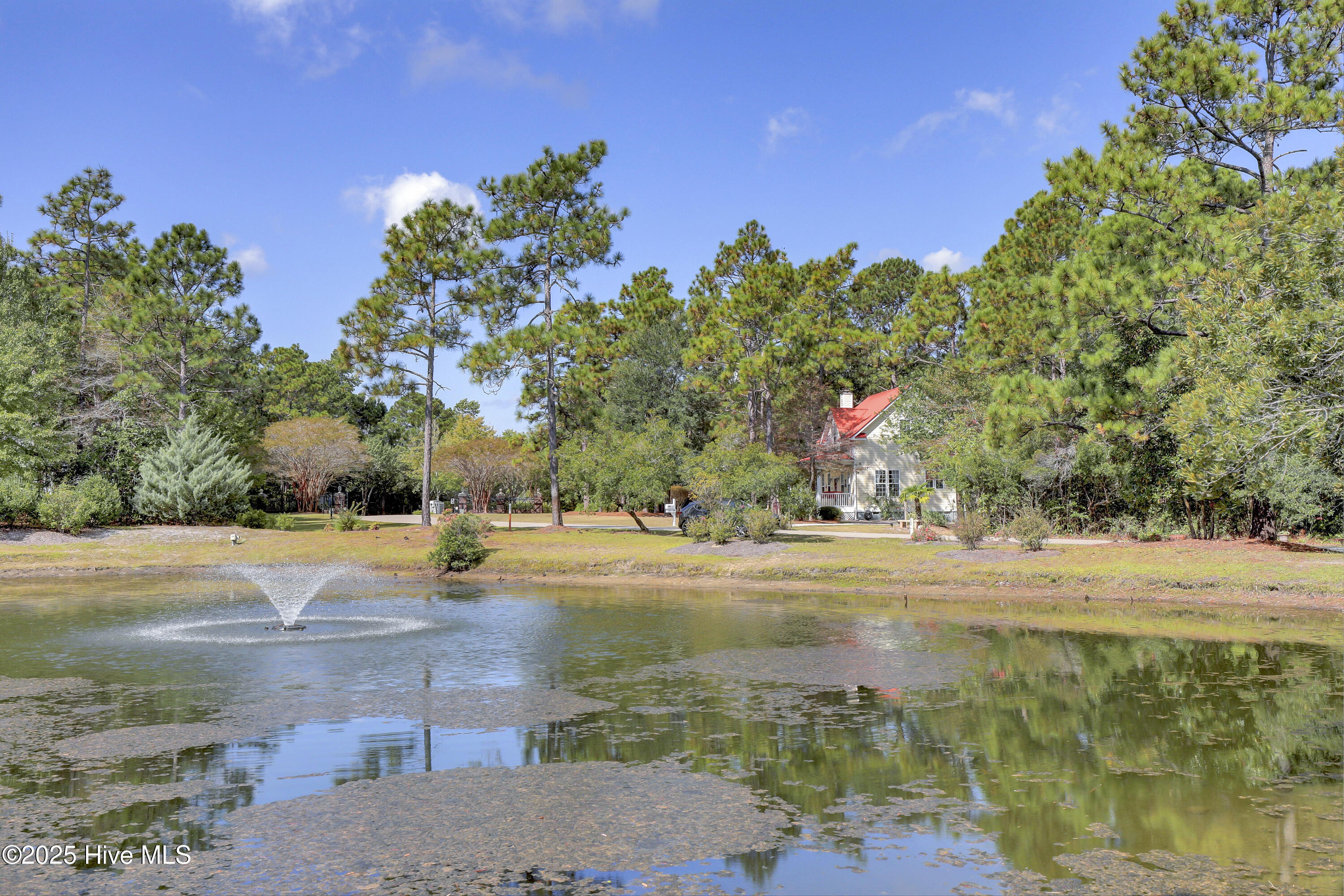 100532986 | Photo 48