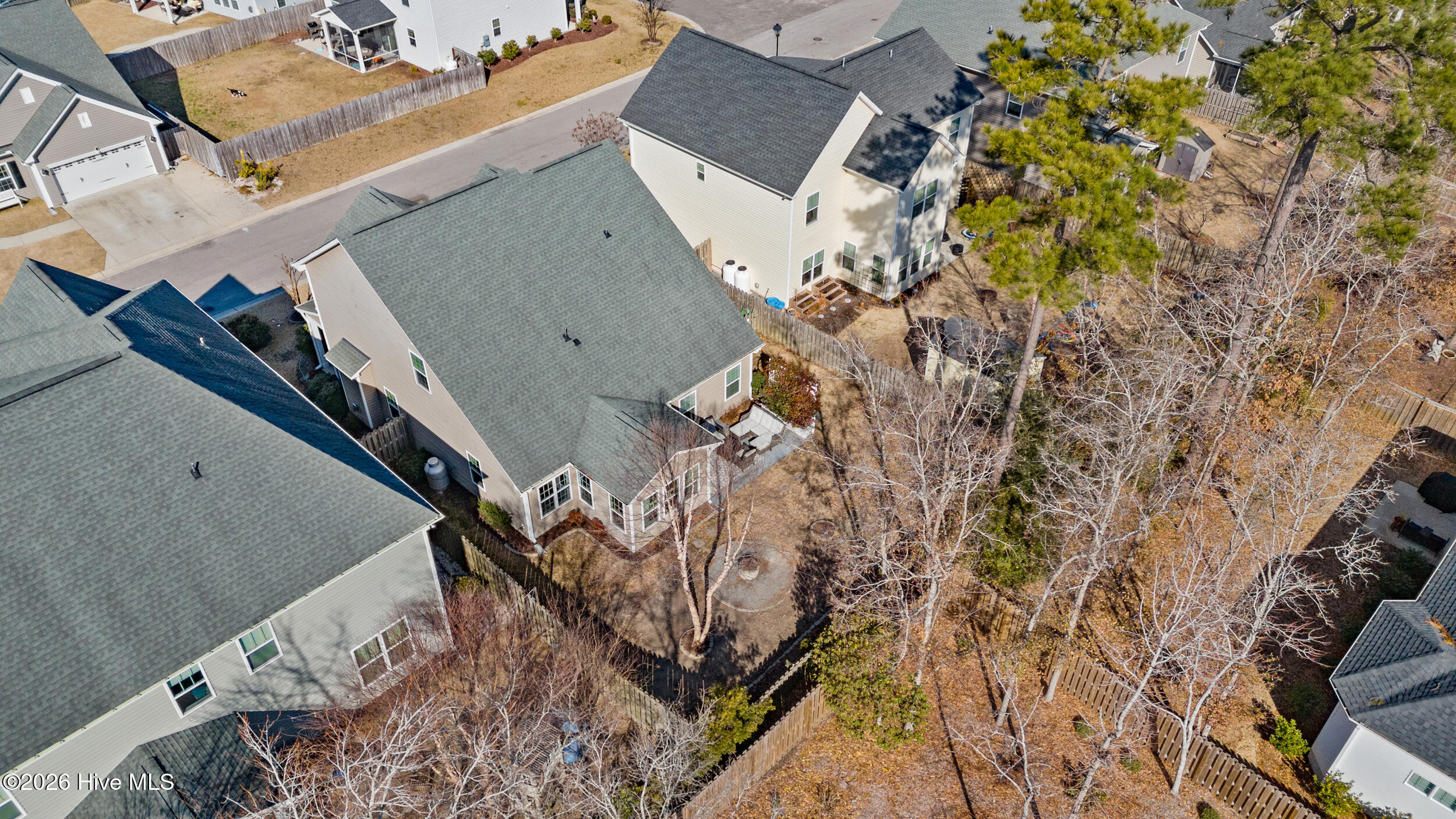 100555431 | Photo 53