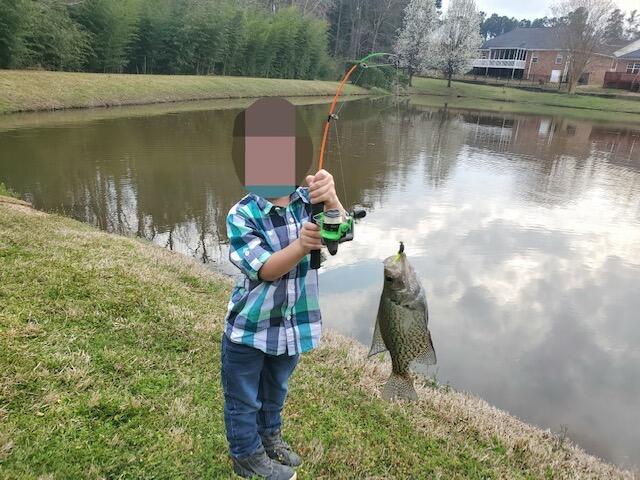 Fish