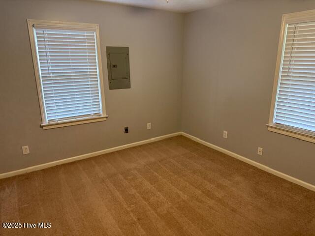 100523651 | Photo 24