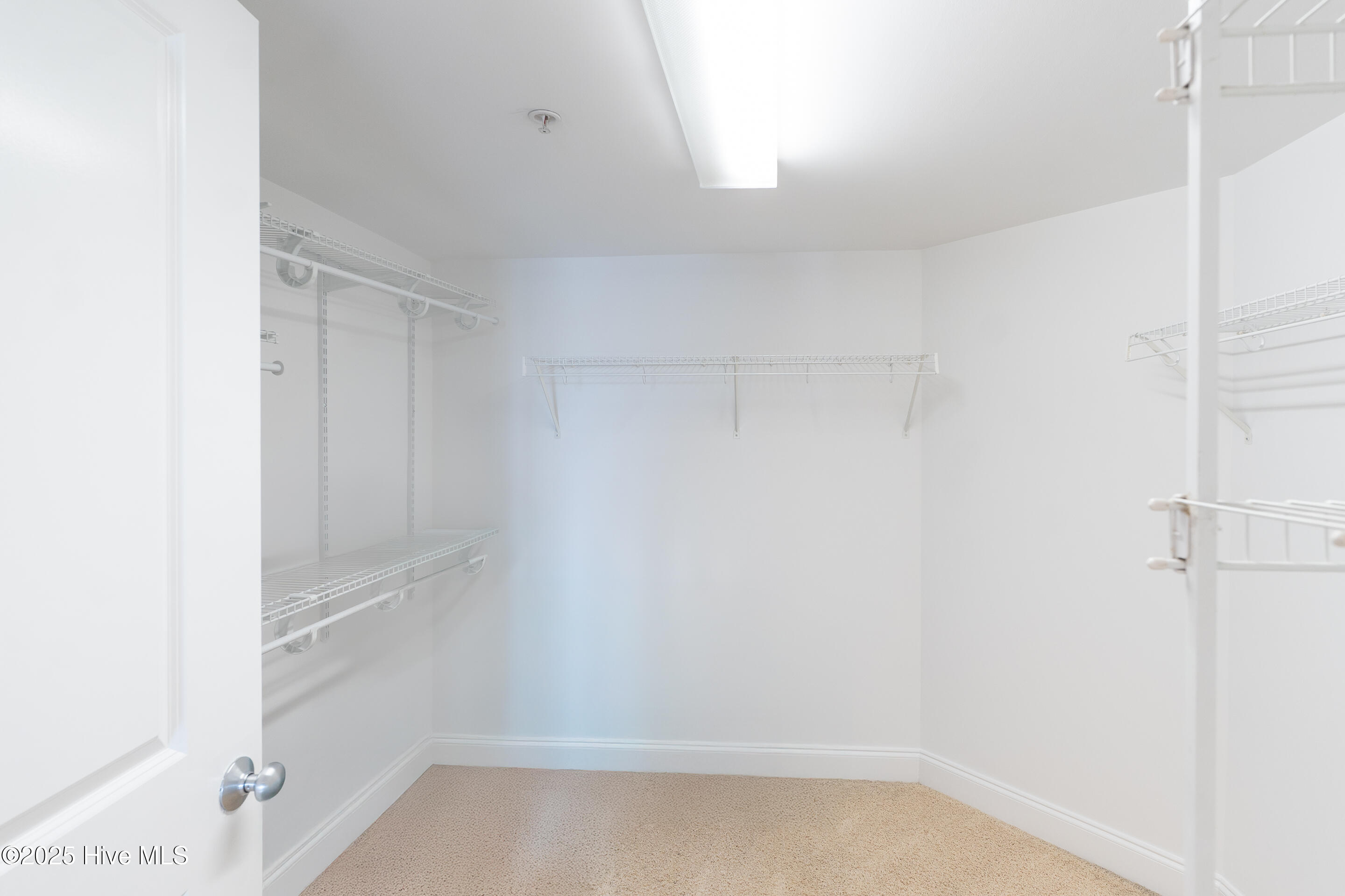 100506619 | Photo 20