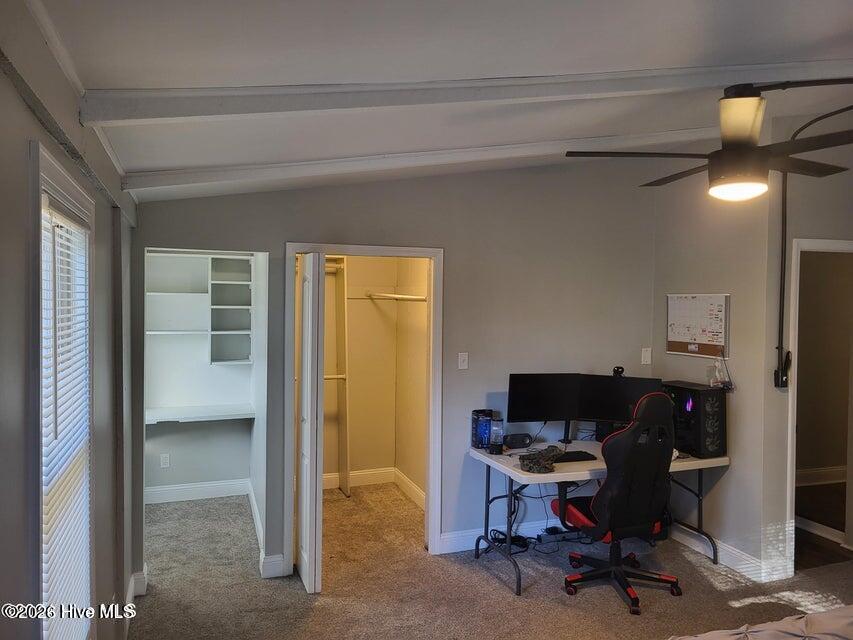 100553497 | Photo 30