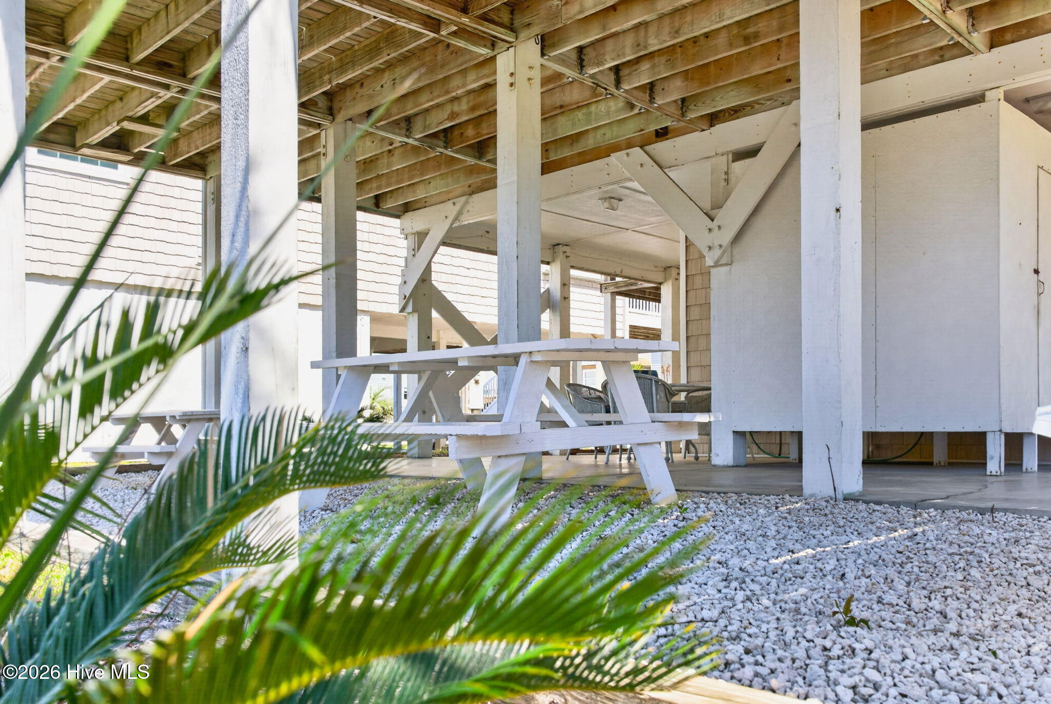 100566511 | Photo 44