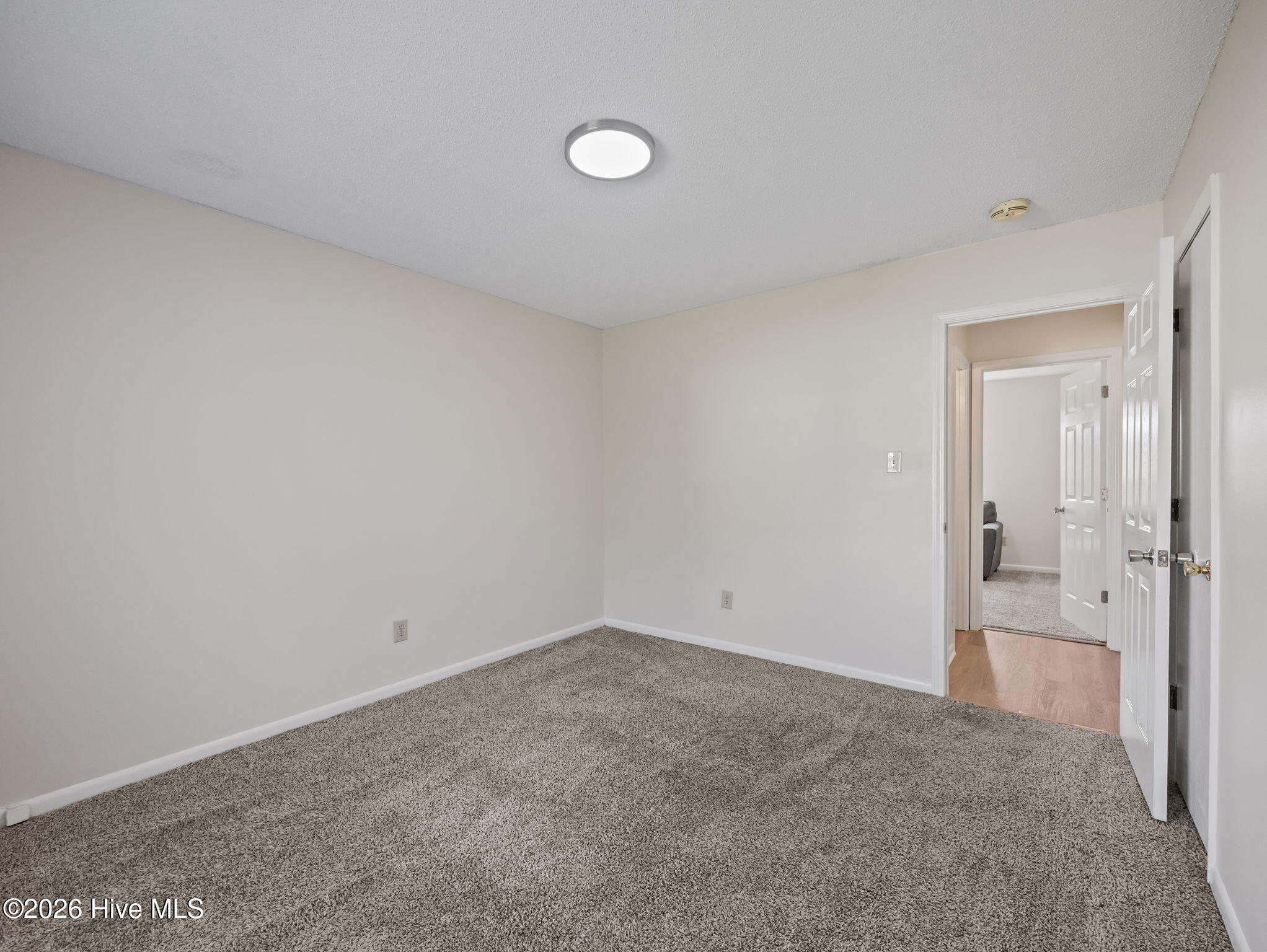 100565385 | Photo 20