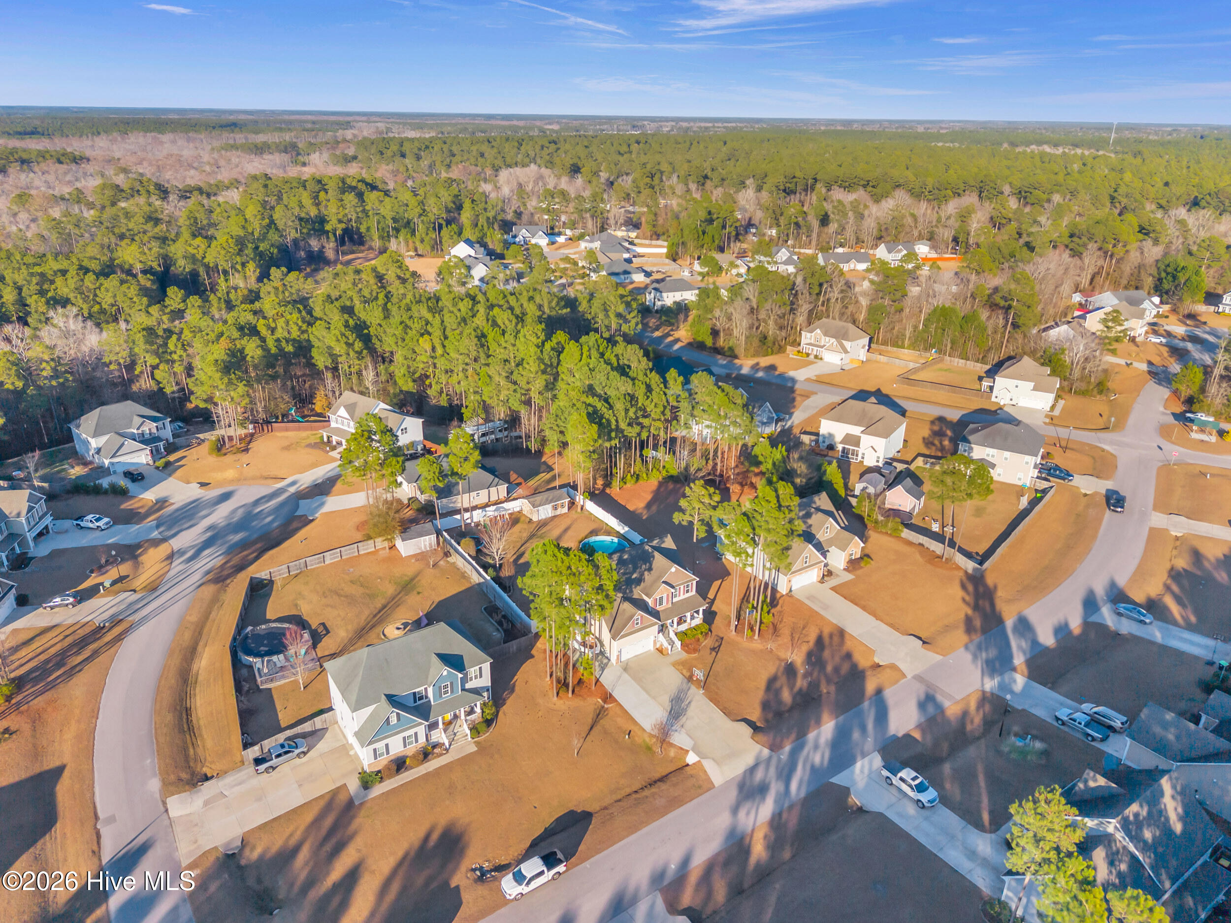 100556499 | Photo 52