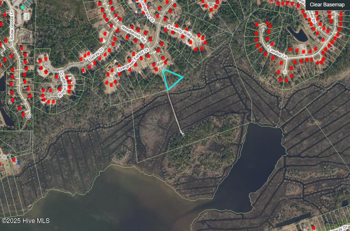 608 Needlerush Court, Sneads Ferry, NC, 28460