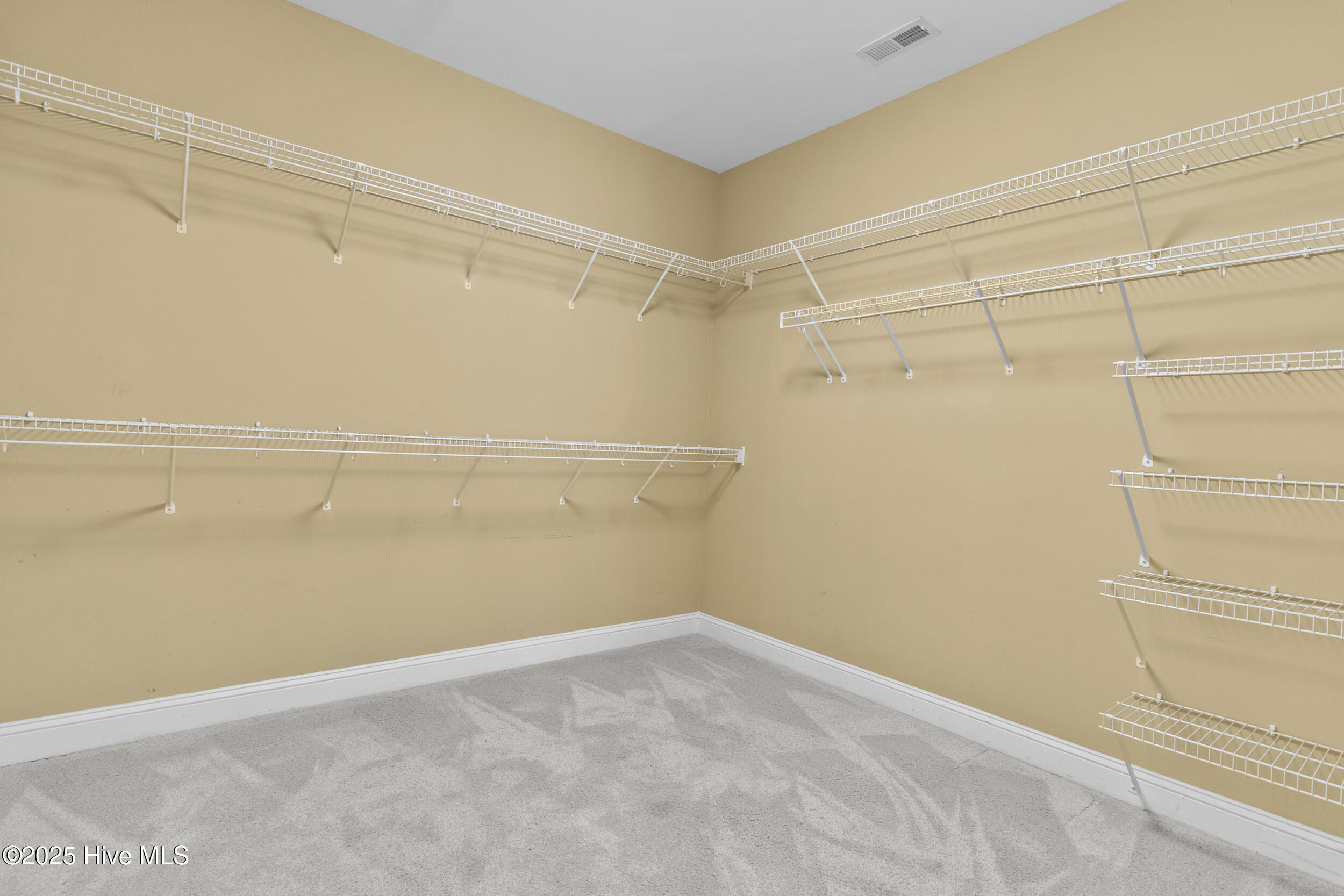 100534384 | Photo 23