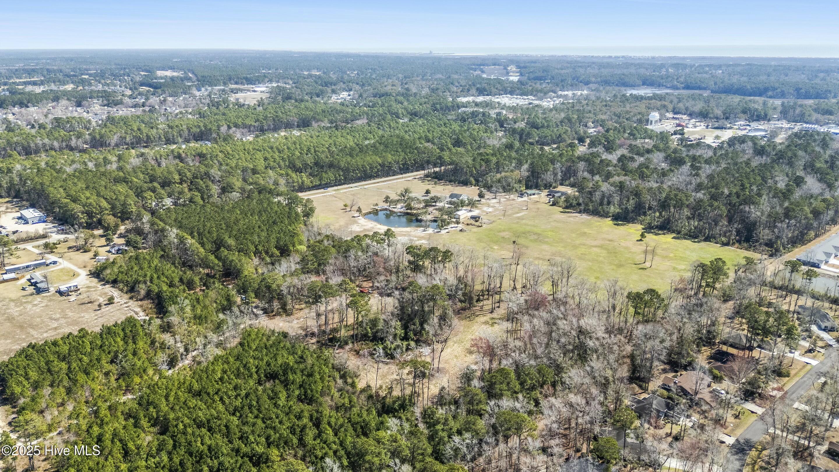 100495483 | Photo 12