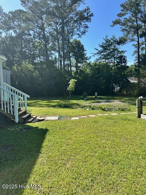 100516036 | Photo 13