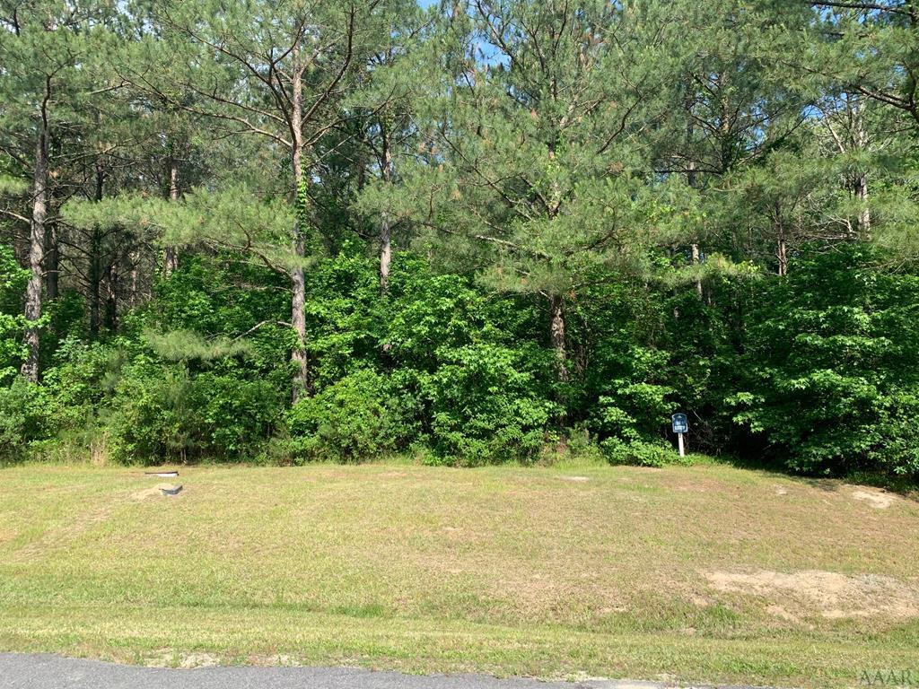 Lot D Newtown Road, Washington, GA, 30673