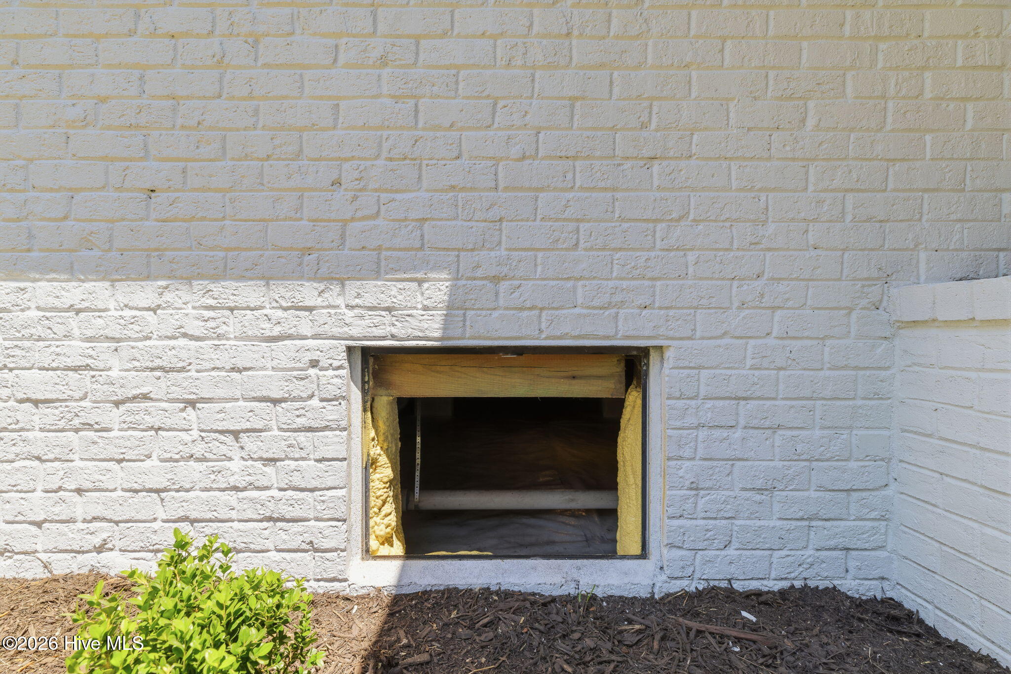 100569769 | Photo 64