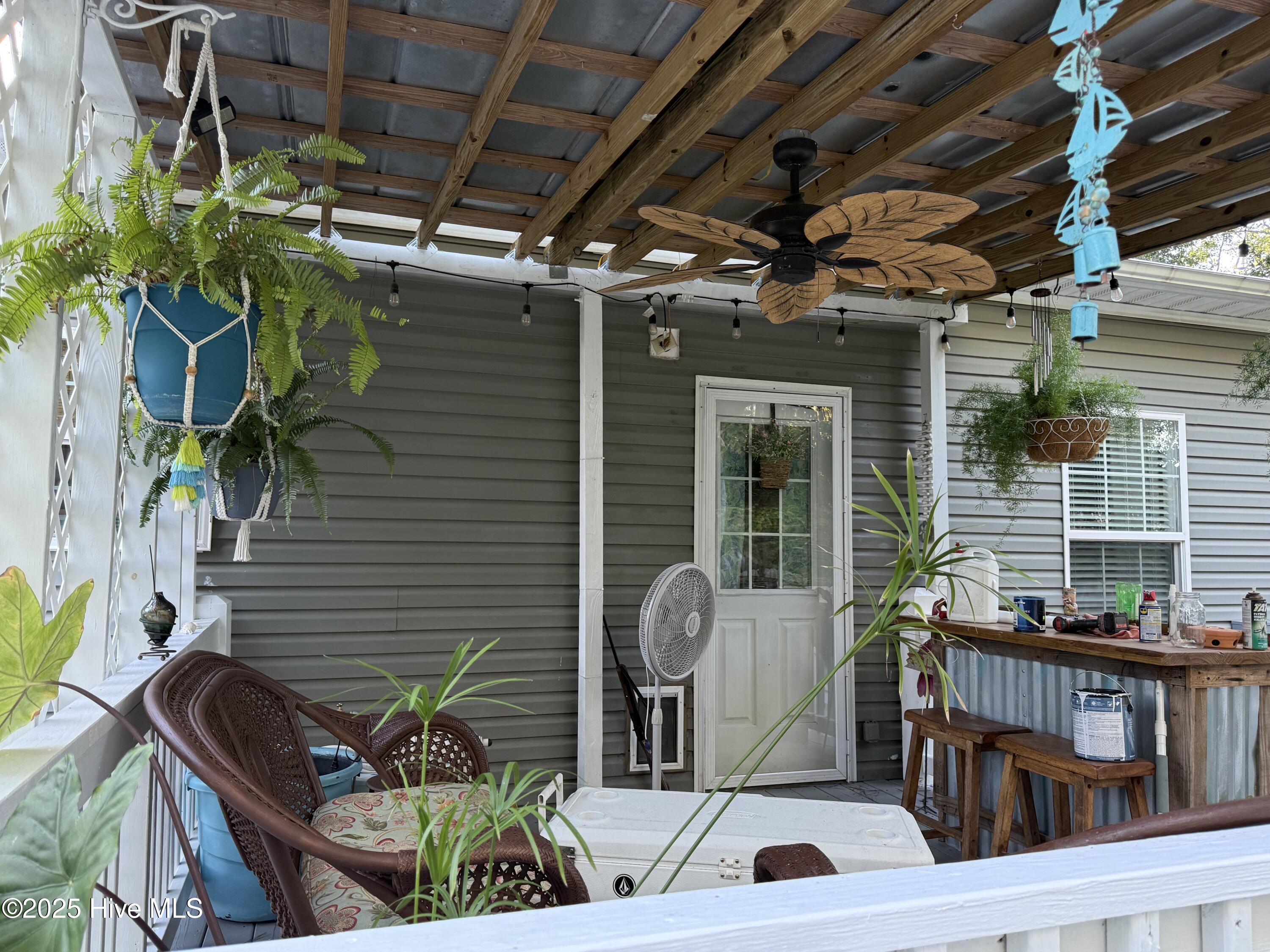 100529032 | Photo 11