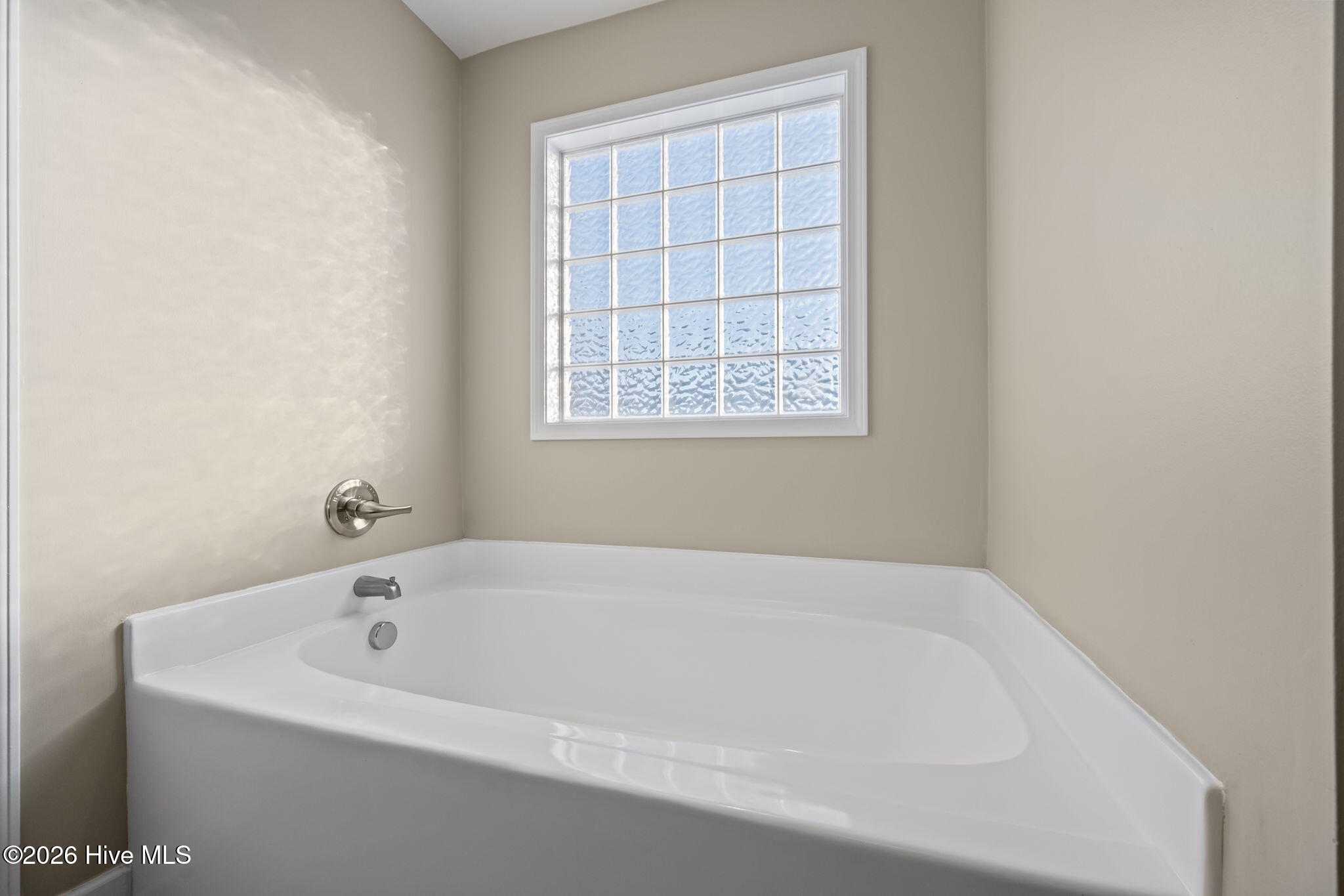 100568567 | Photo 24