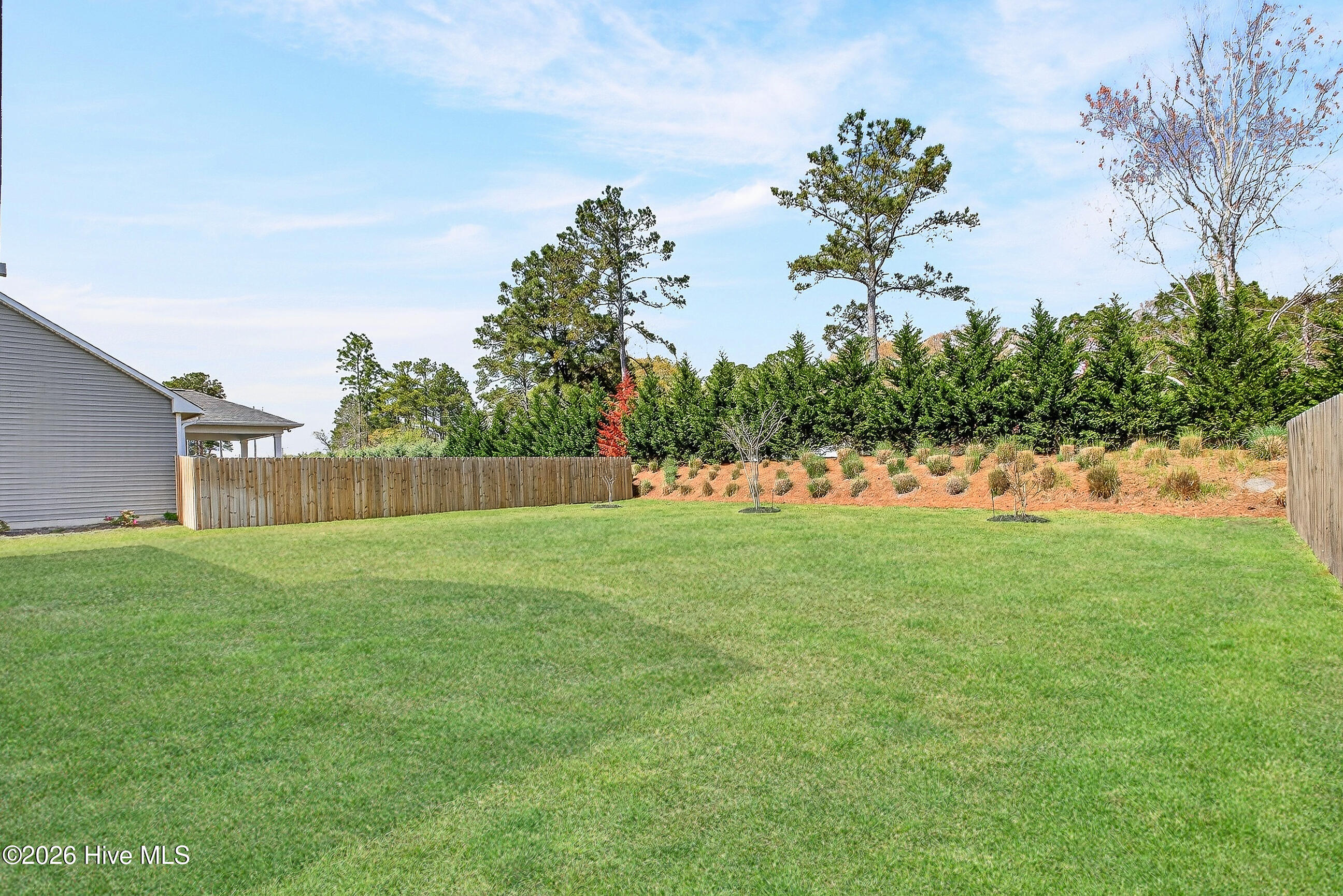 100563505 | Photo 44