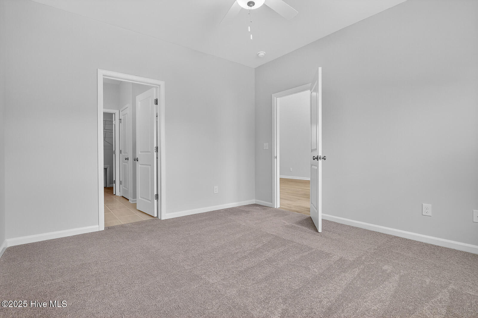 100511677 | Photo 14