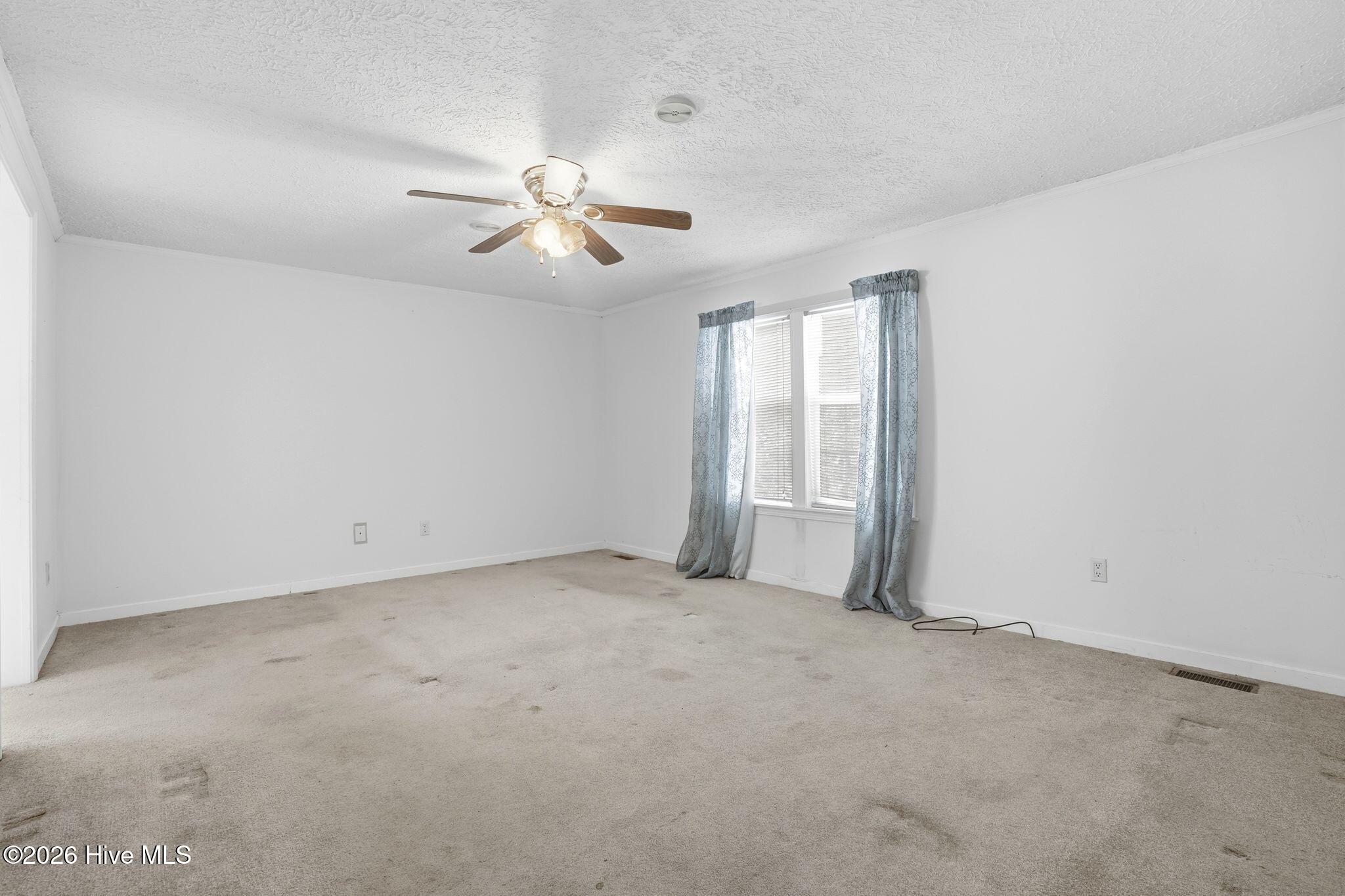 100556115 | Photo 63