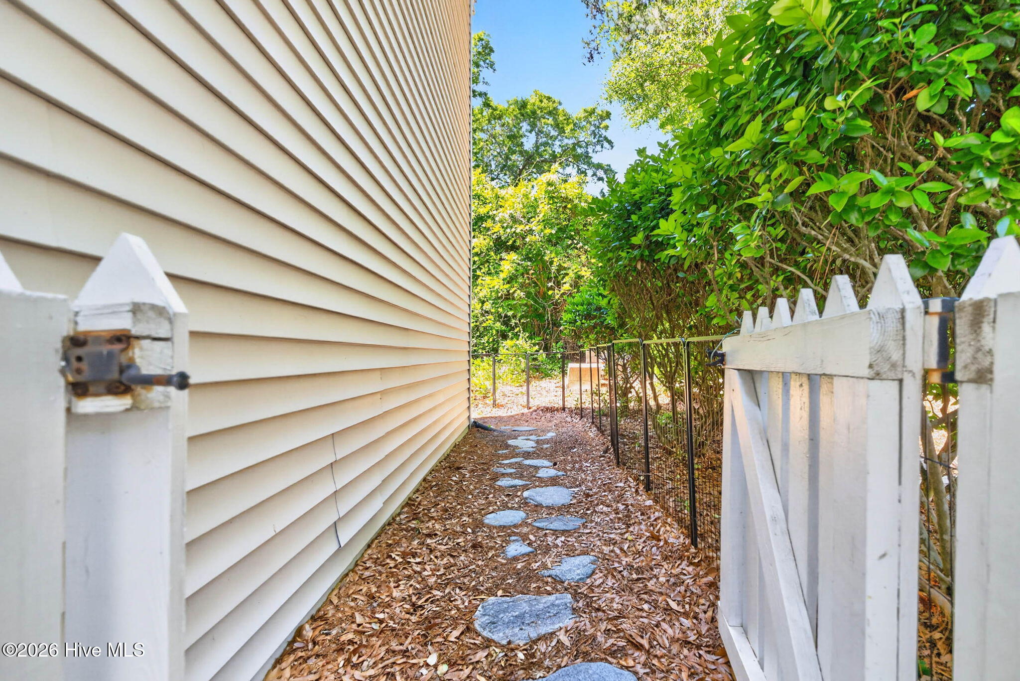 100570358 | Photo 37