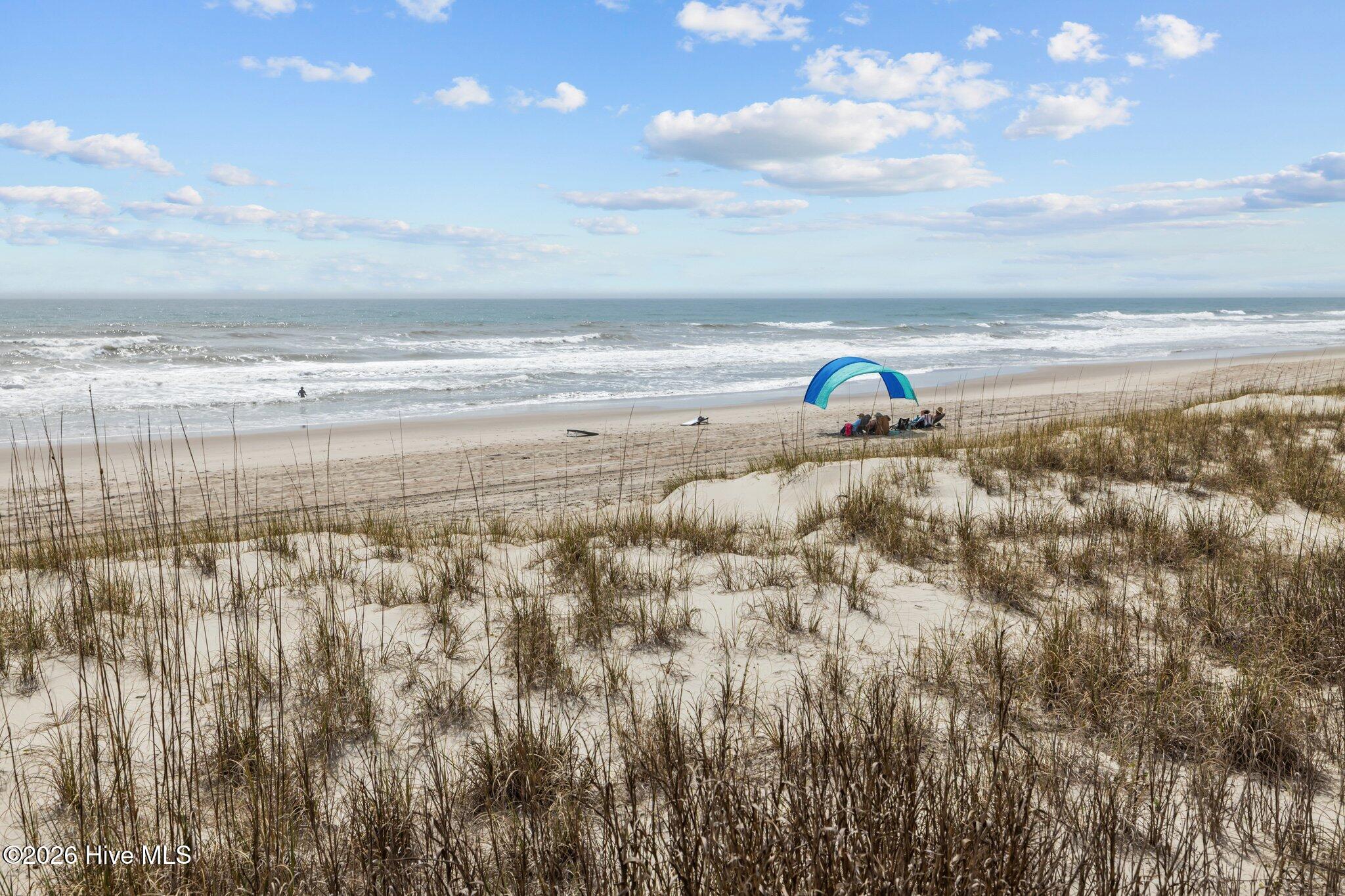 100565802 | Photo 54