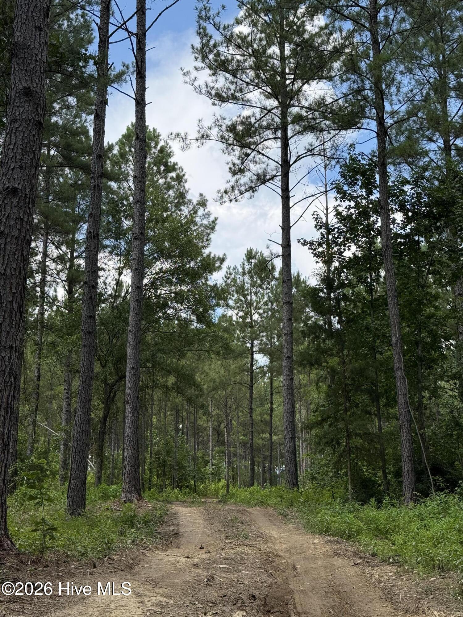 Photo 4 of Land for sale at Lot 5 Christian Rd, Mc Cormick, SC 29835 | MLS# 100608852 | Listing updated on 2026-10-07