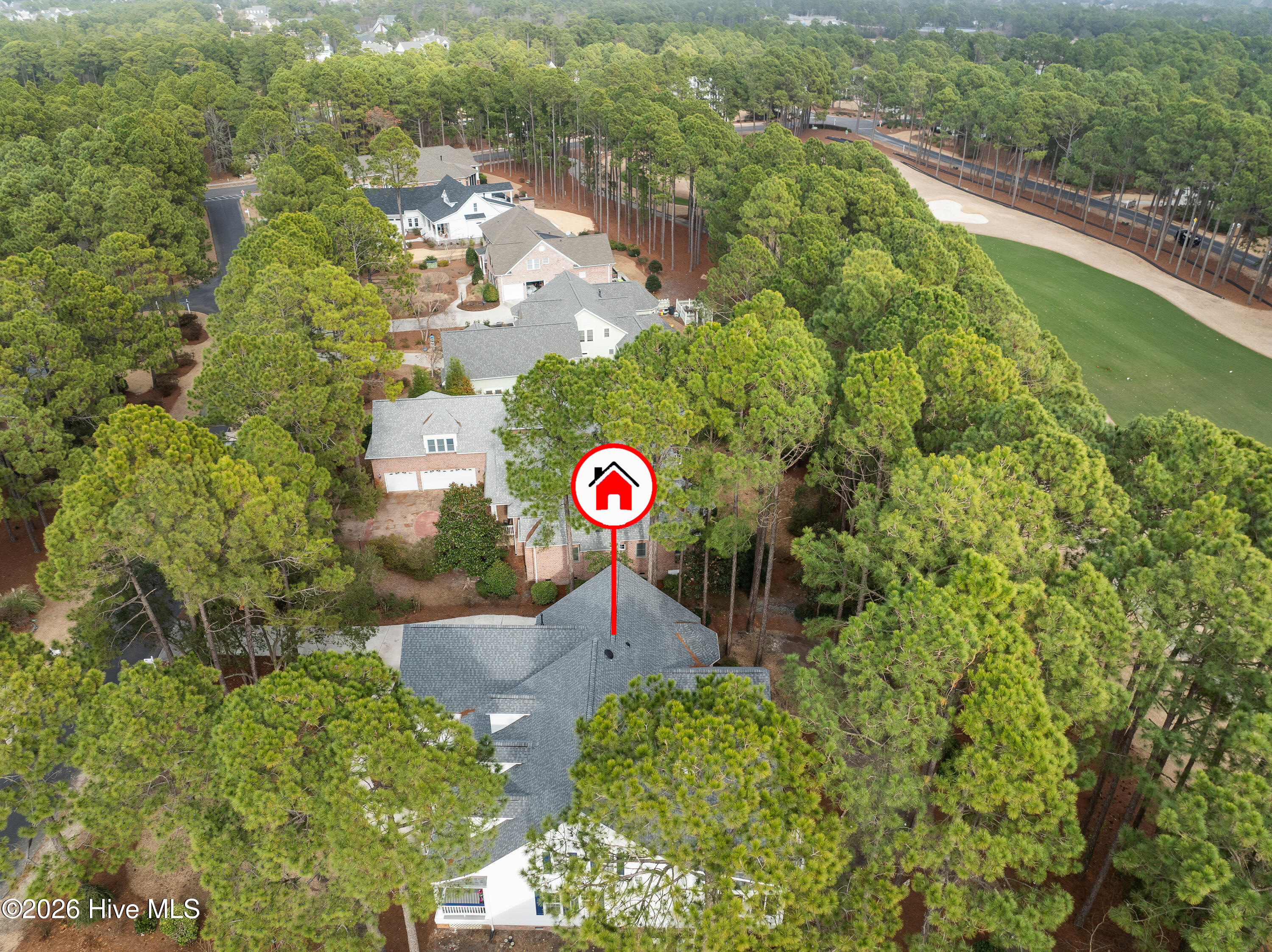 100555954 | Photo 66