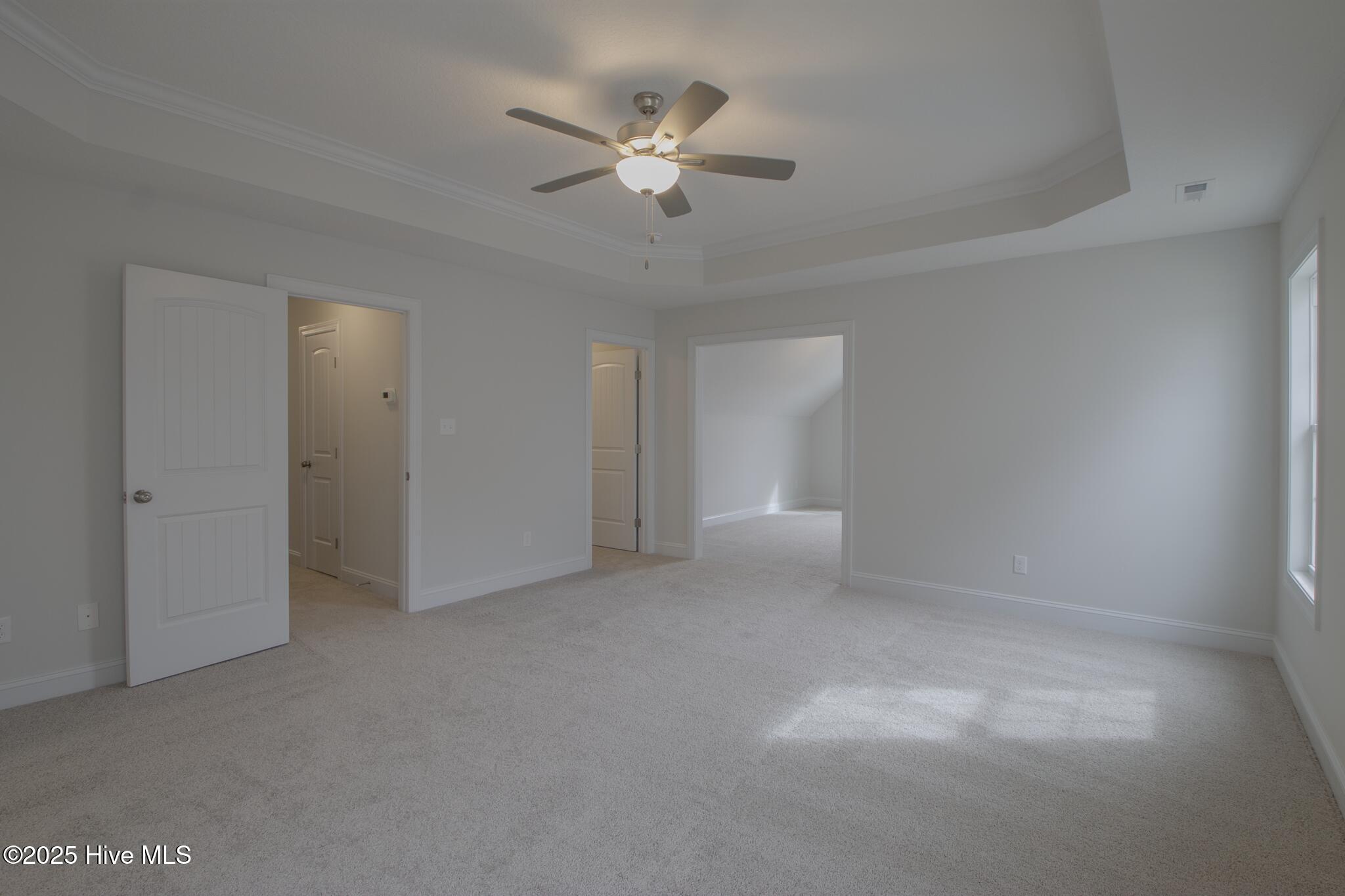 100509462 | Photo 23