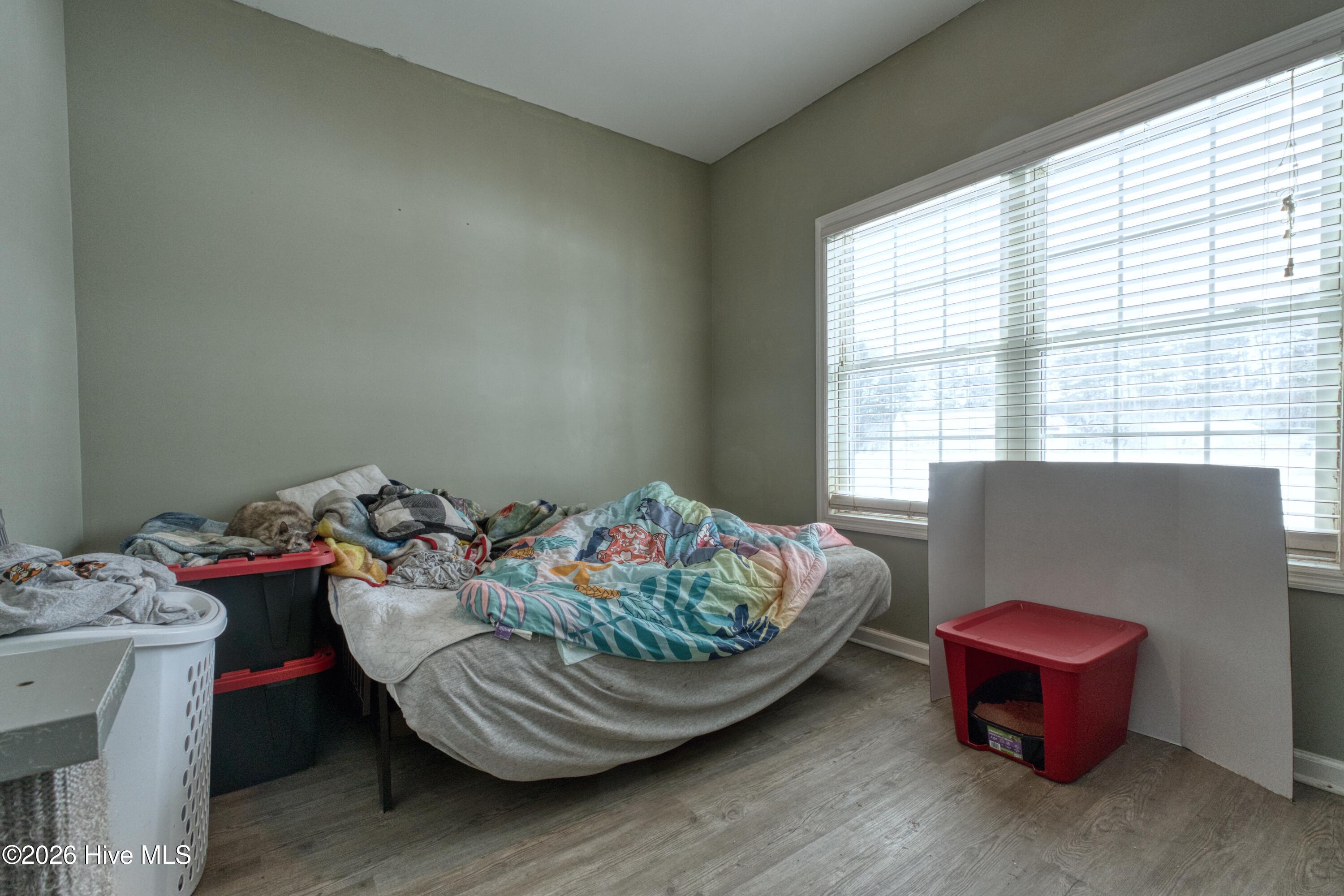 100548809 | Photo 16