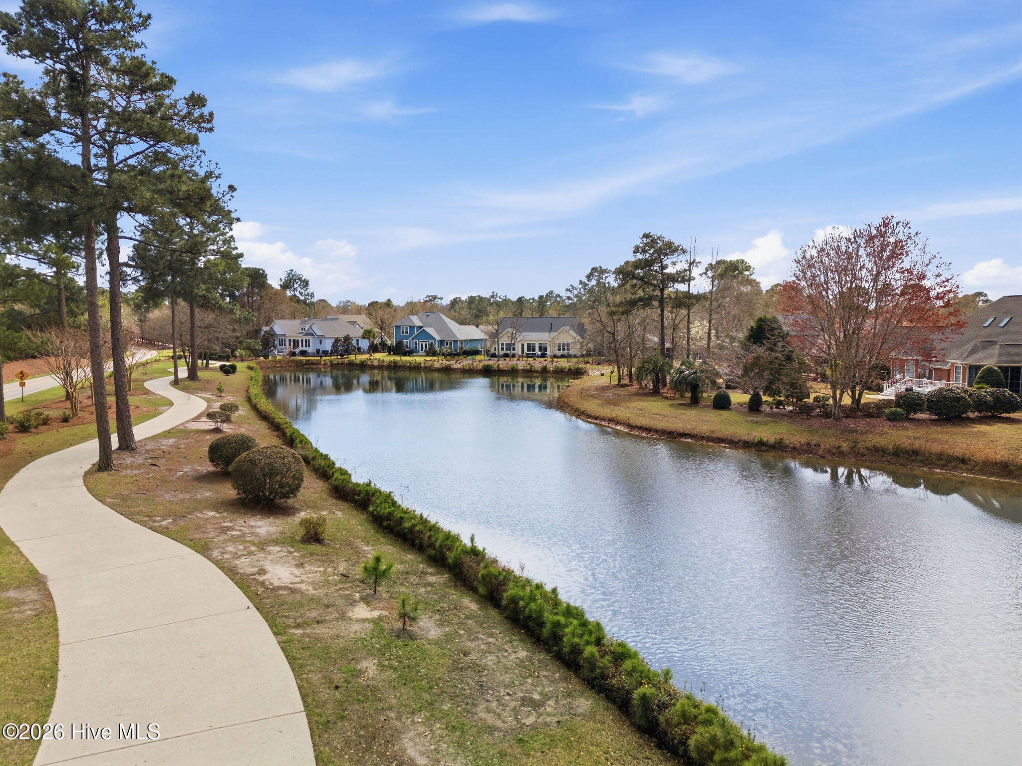 100560858 | Photo 71