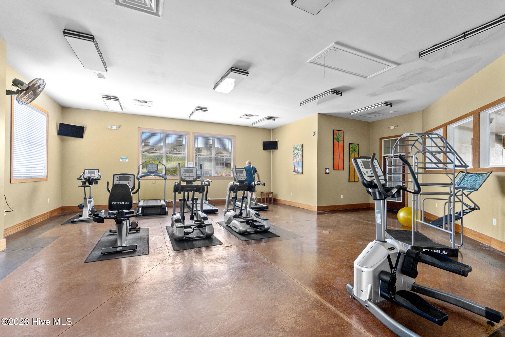 100566084 | Photo 53