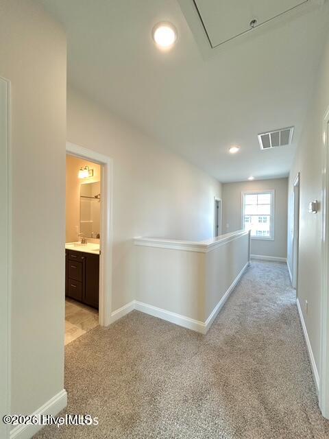 100553886 | Photo 54