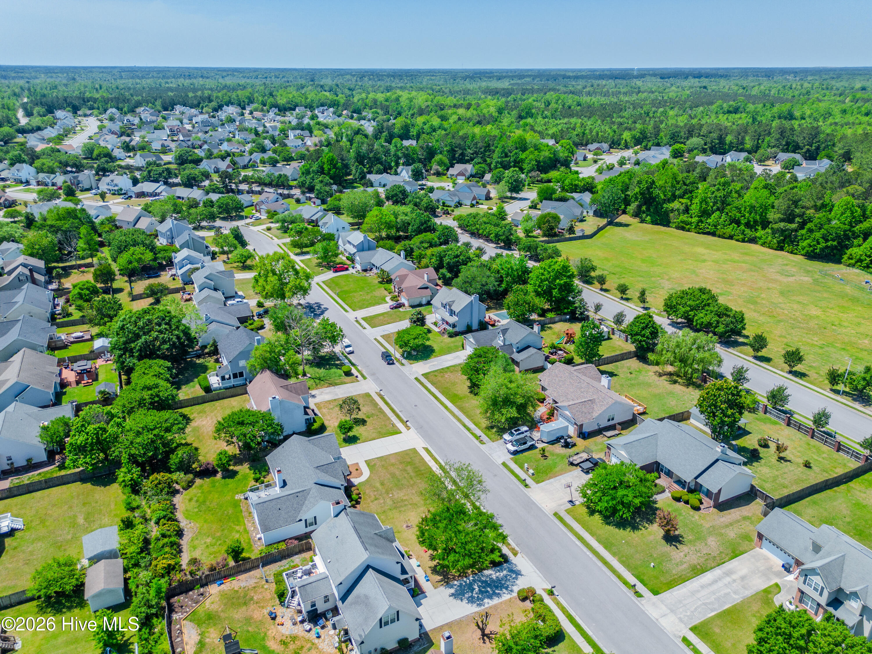 100569182 | Photo 79