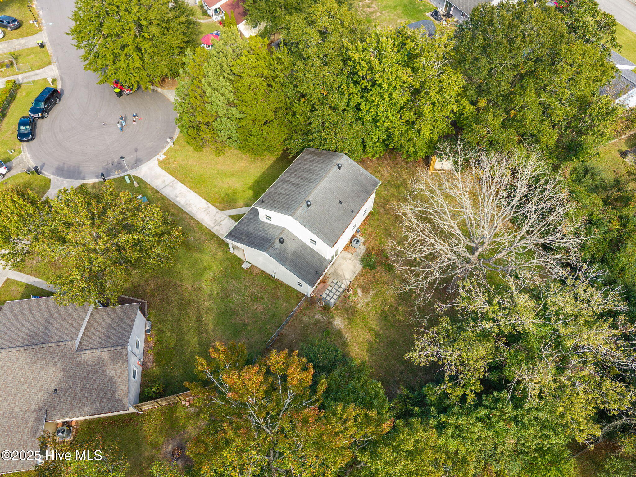 100539019 | Photo 42