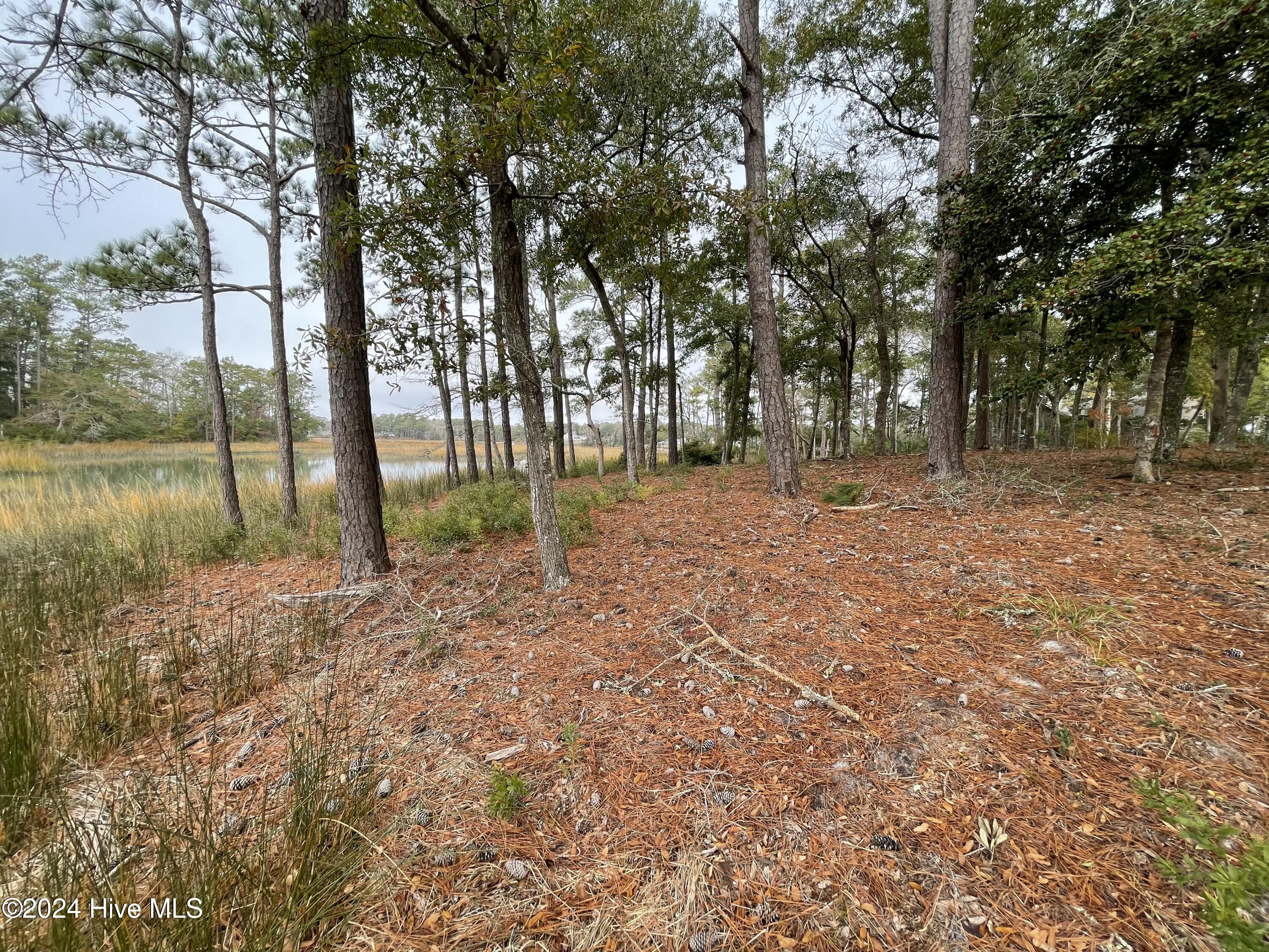 100481360 | Photo 25