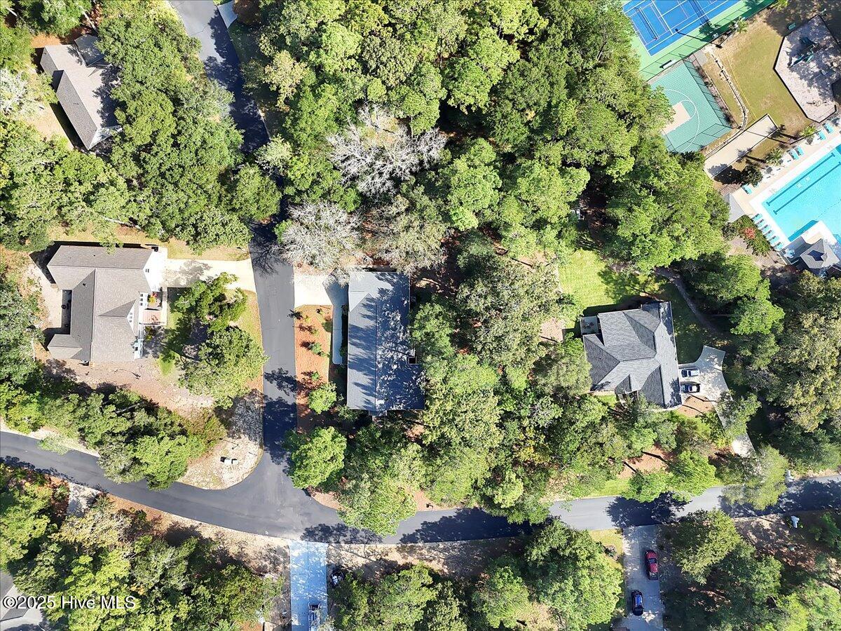 100536639 | Photo 64