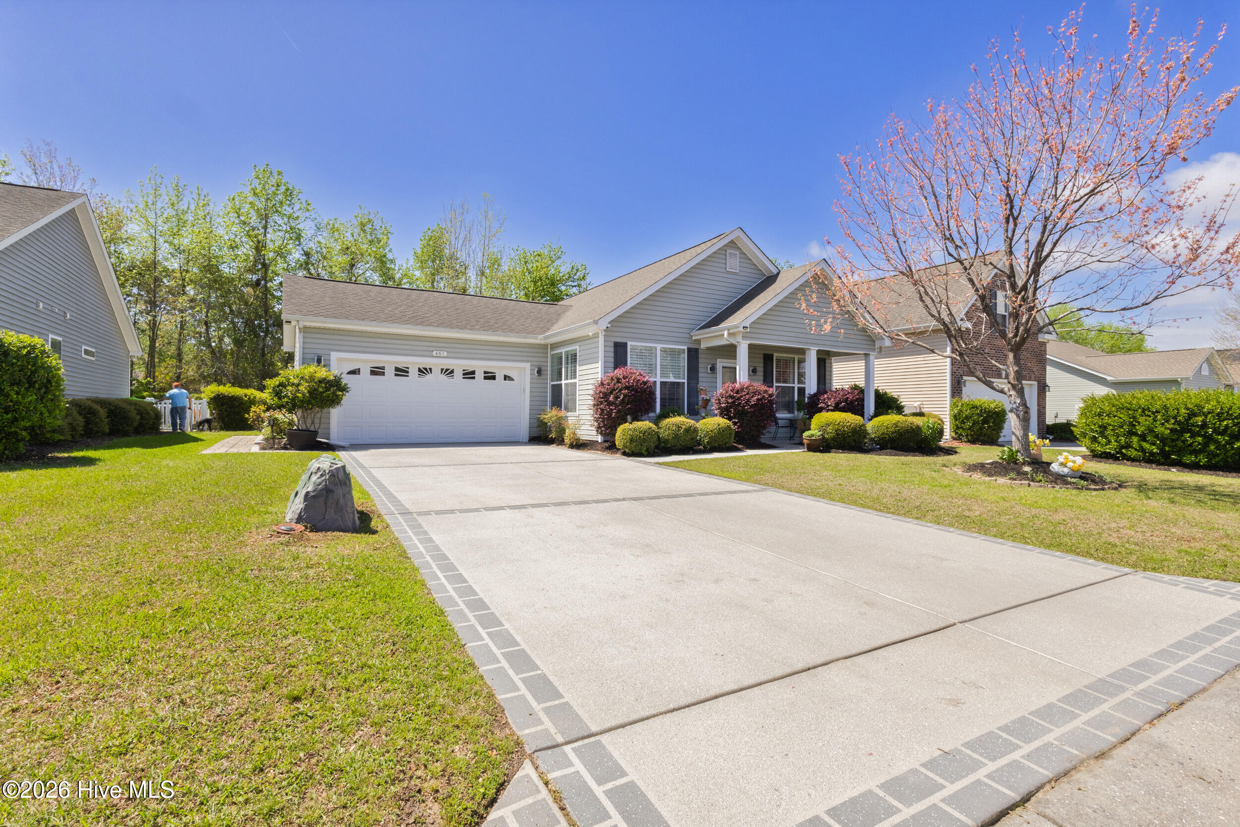 100565406 | Photo 50