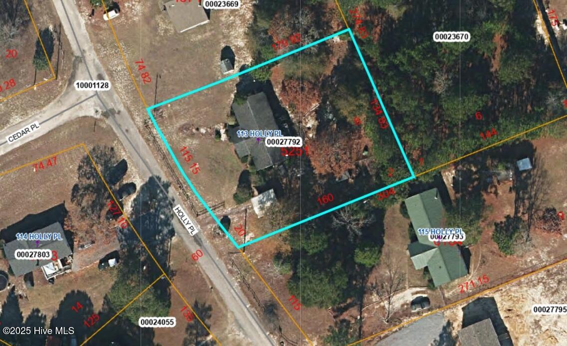 113 Holly Place