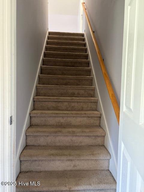 100533477 | Photo 13