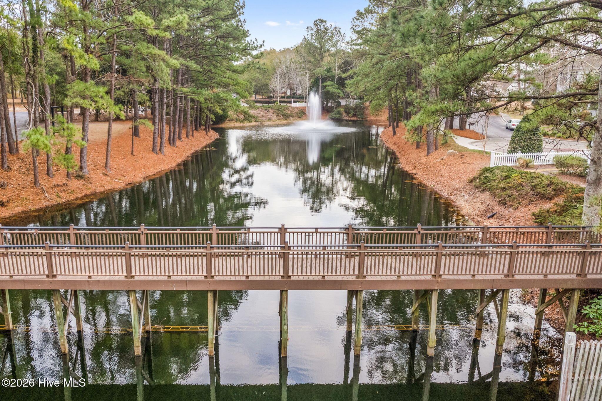 100567275 | Photo 61