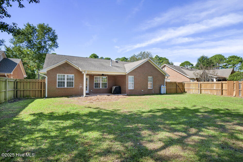 100555052 | Photo 25