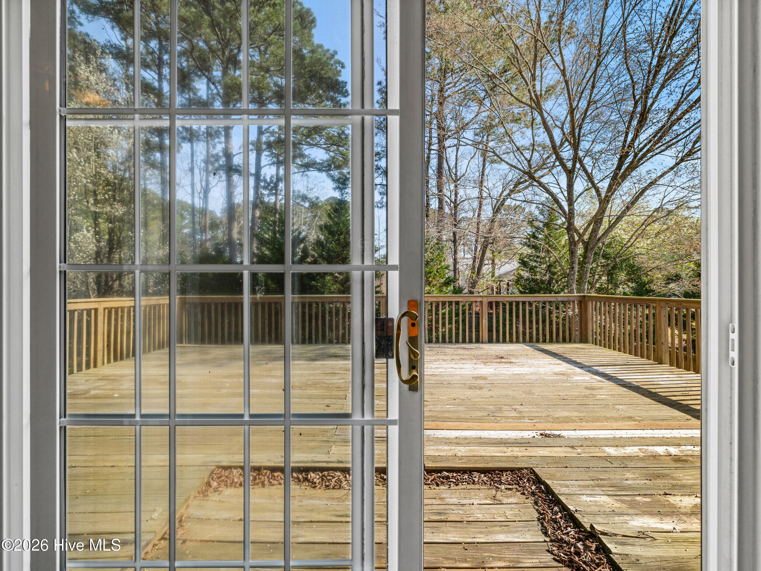 100561743 | Photo 38