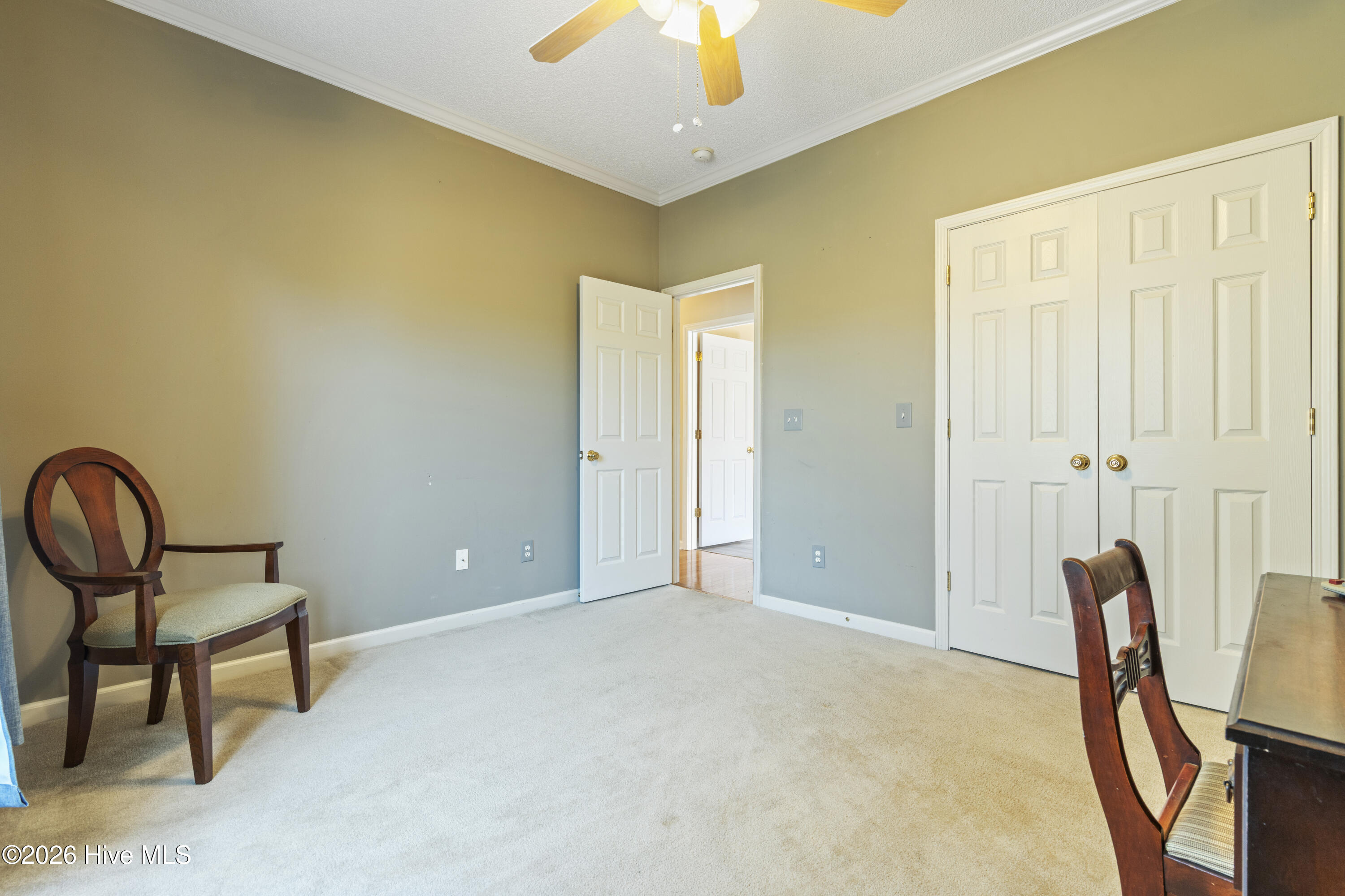 100554853 | Photo 39