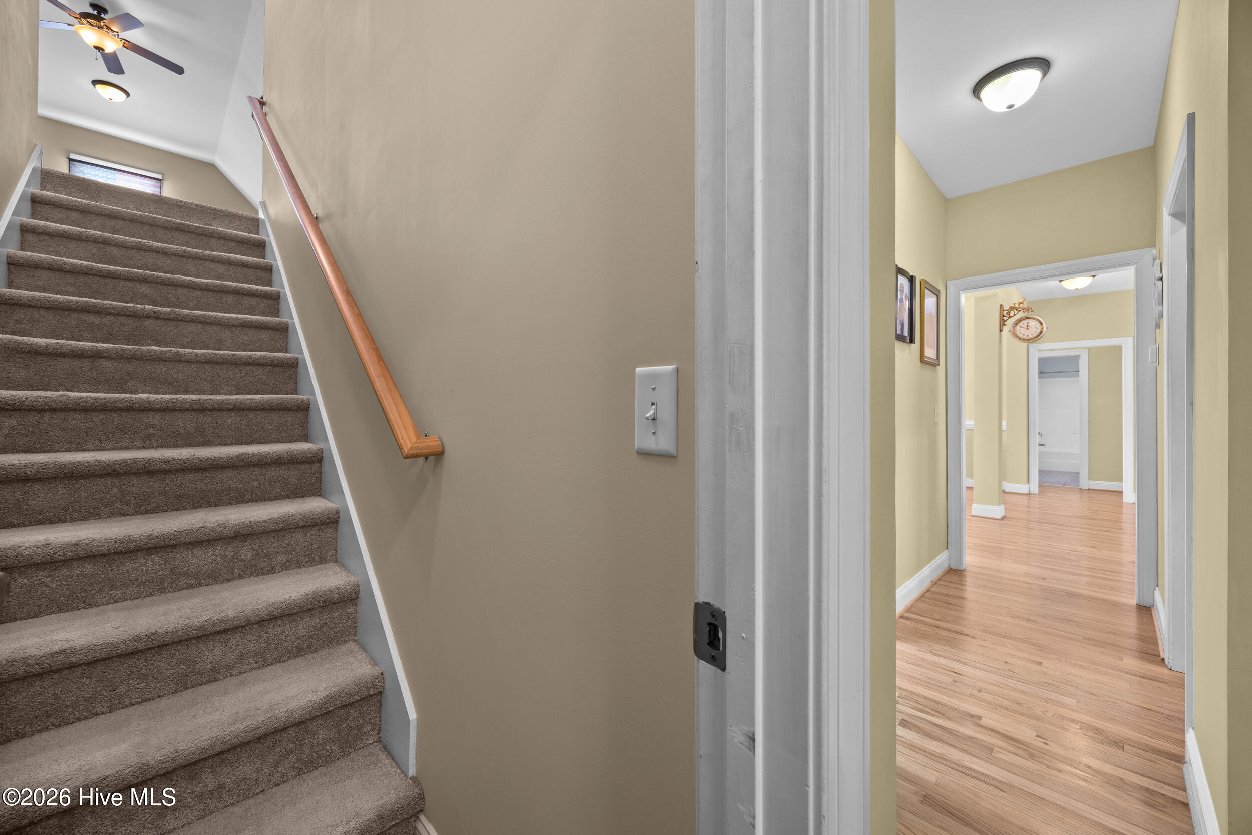 100550325 | Photo 43