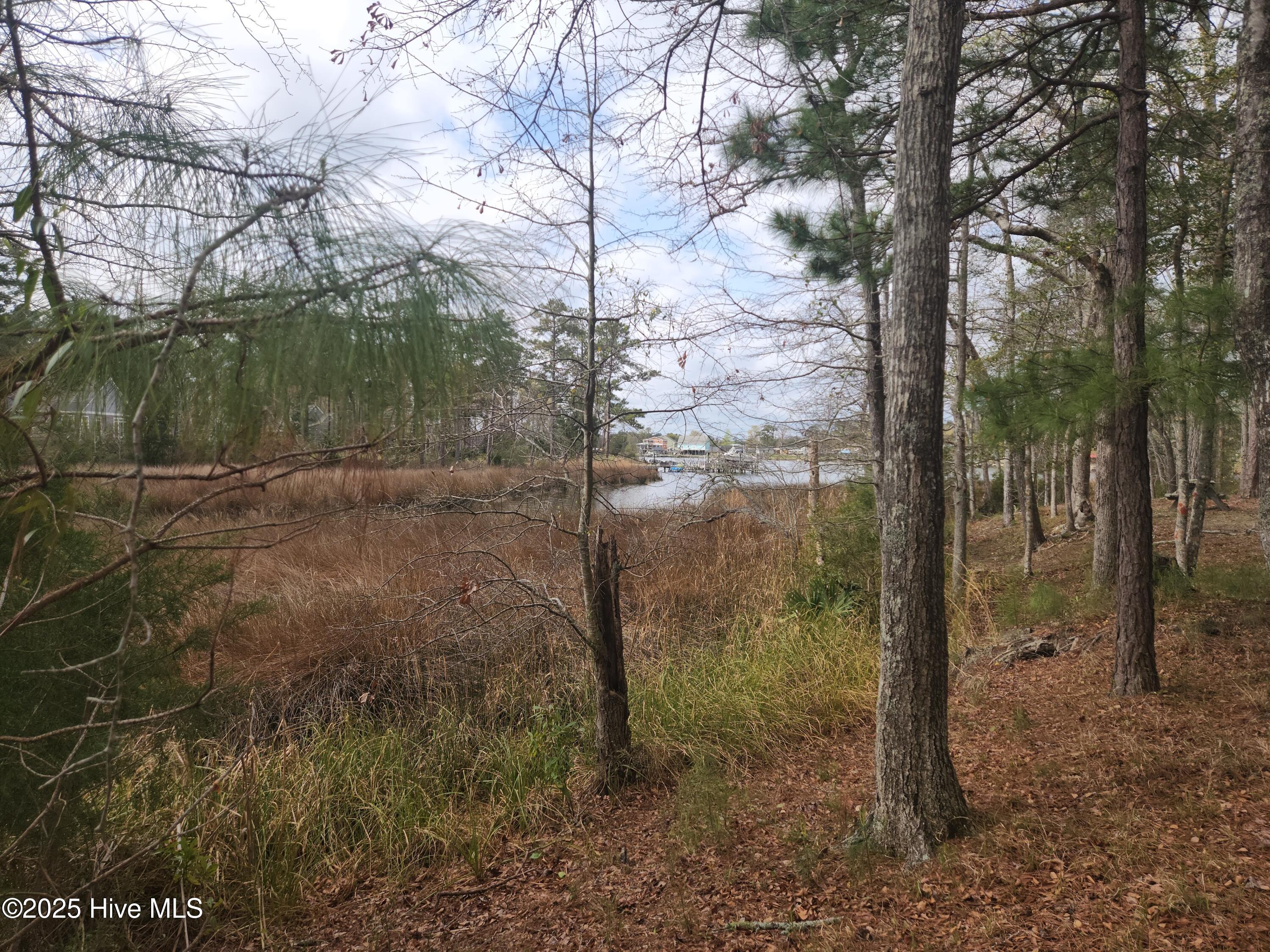 View of small creek towards Dawson Creek