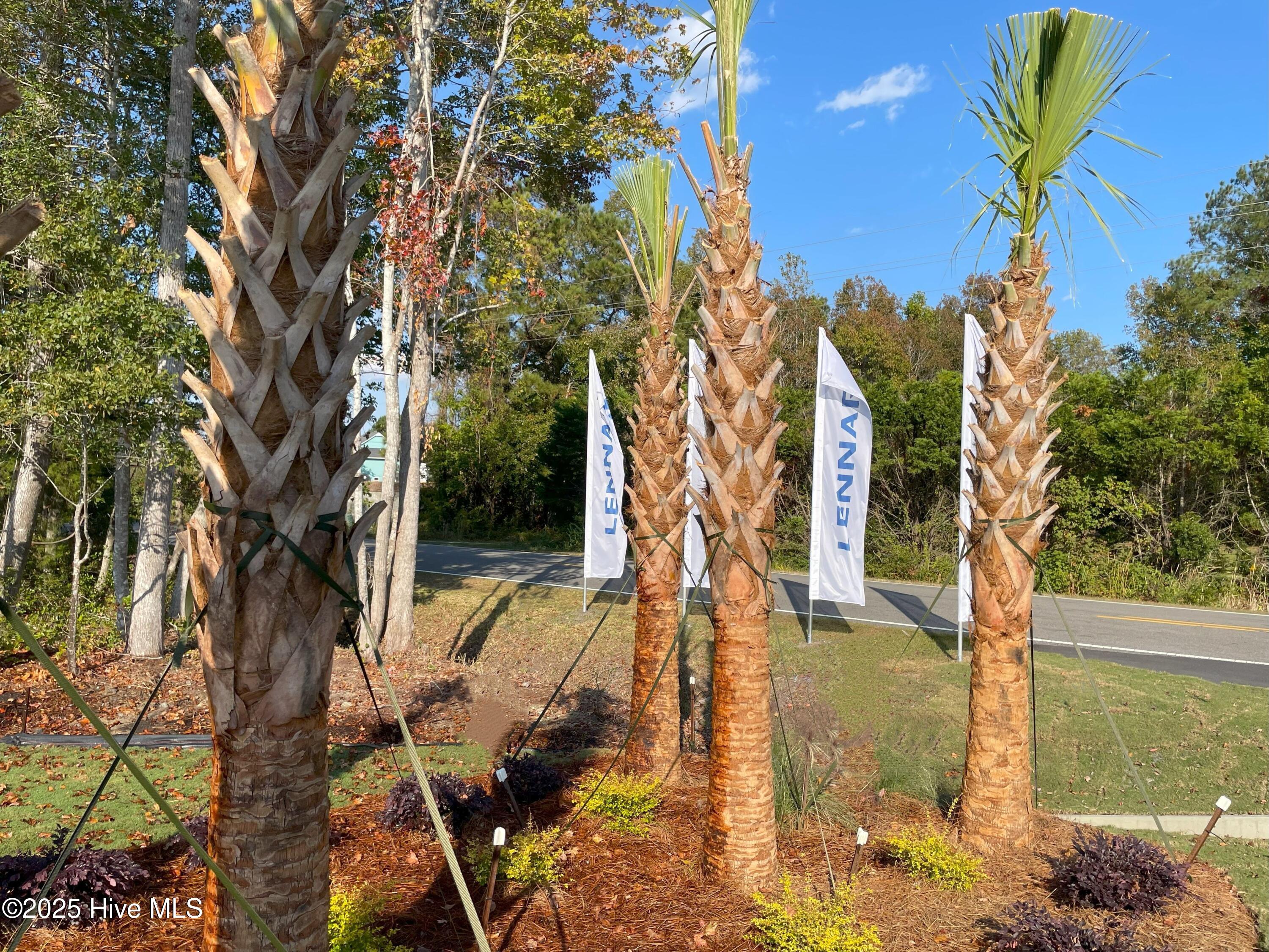 100545783 | Photo 13