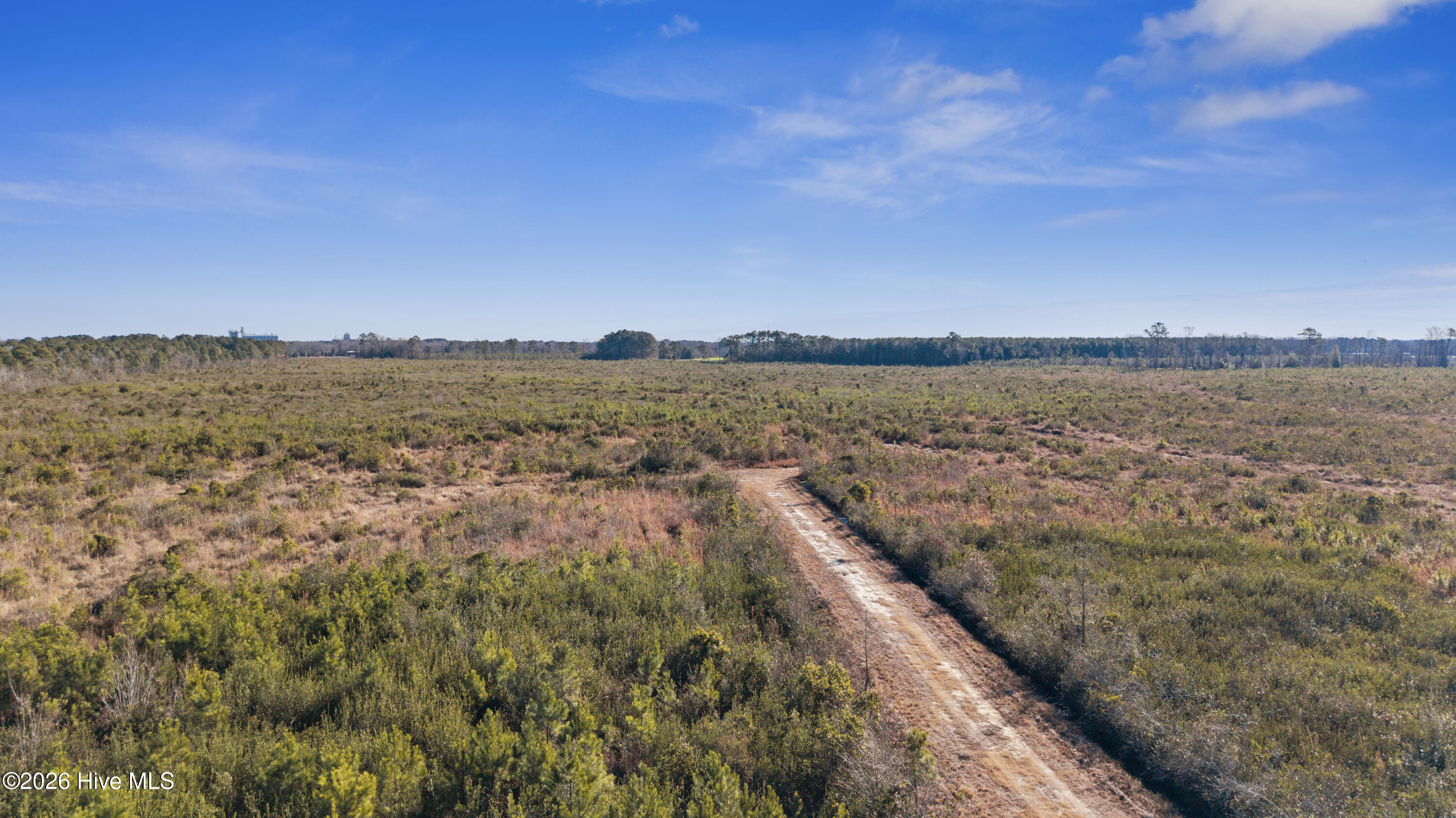 Homes for sale in Rose Hill, NC | 700 Acres Earl Davis Rd, Rose Hill, NC 28458 | MLS# 100550886